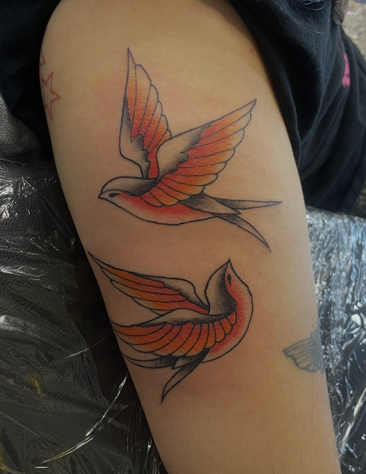 TAT12-BIRD.png