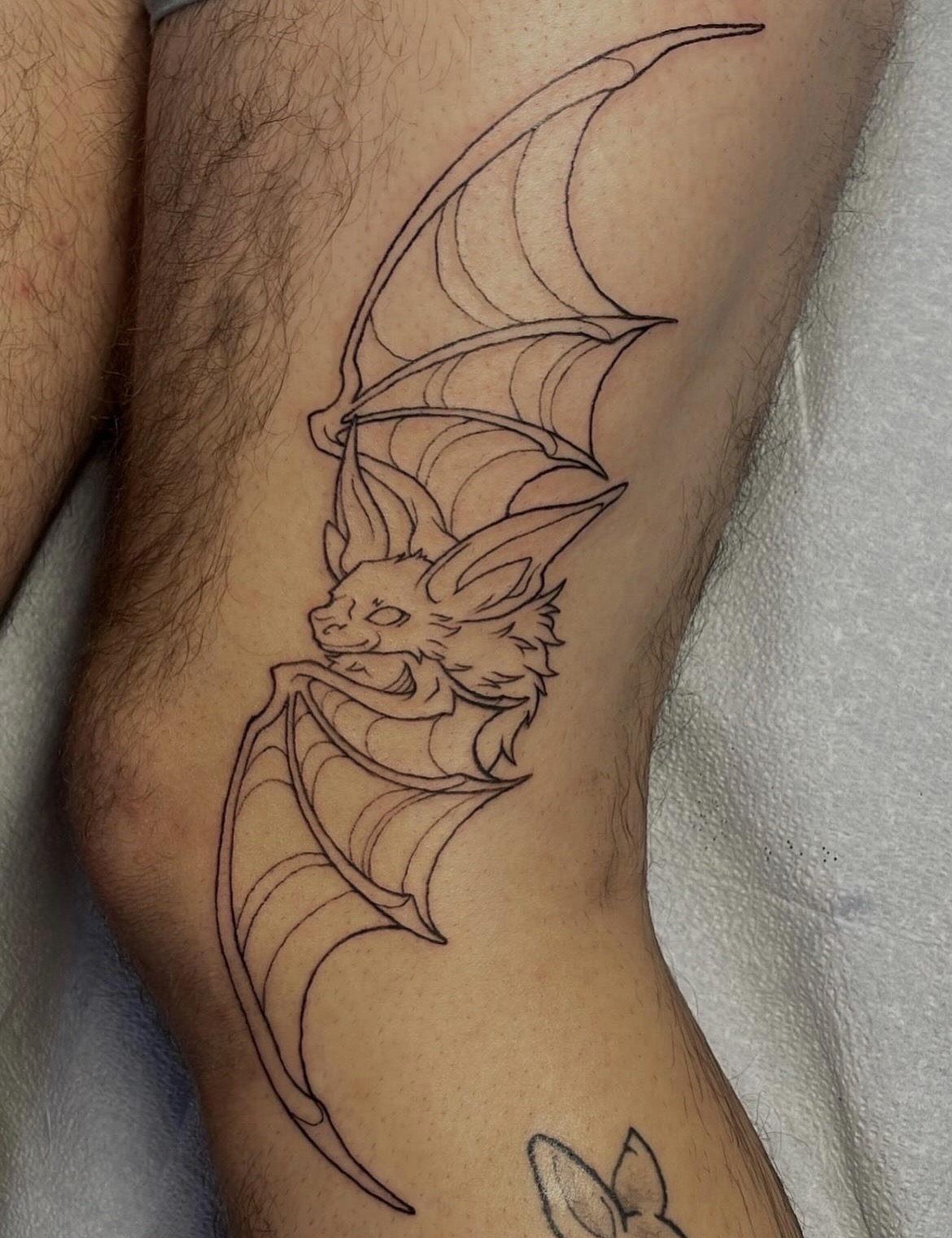 TAT8-BAT.png
