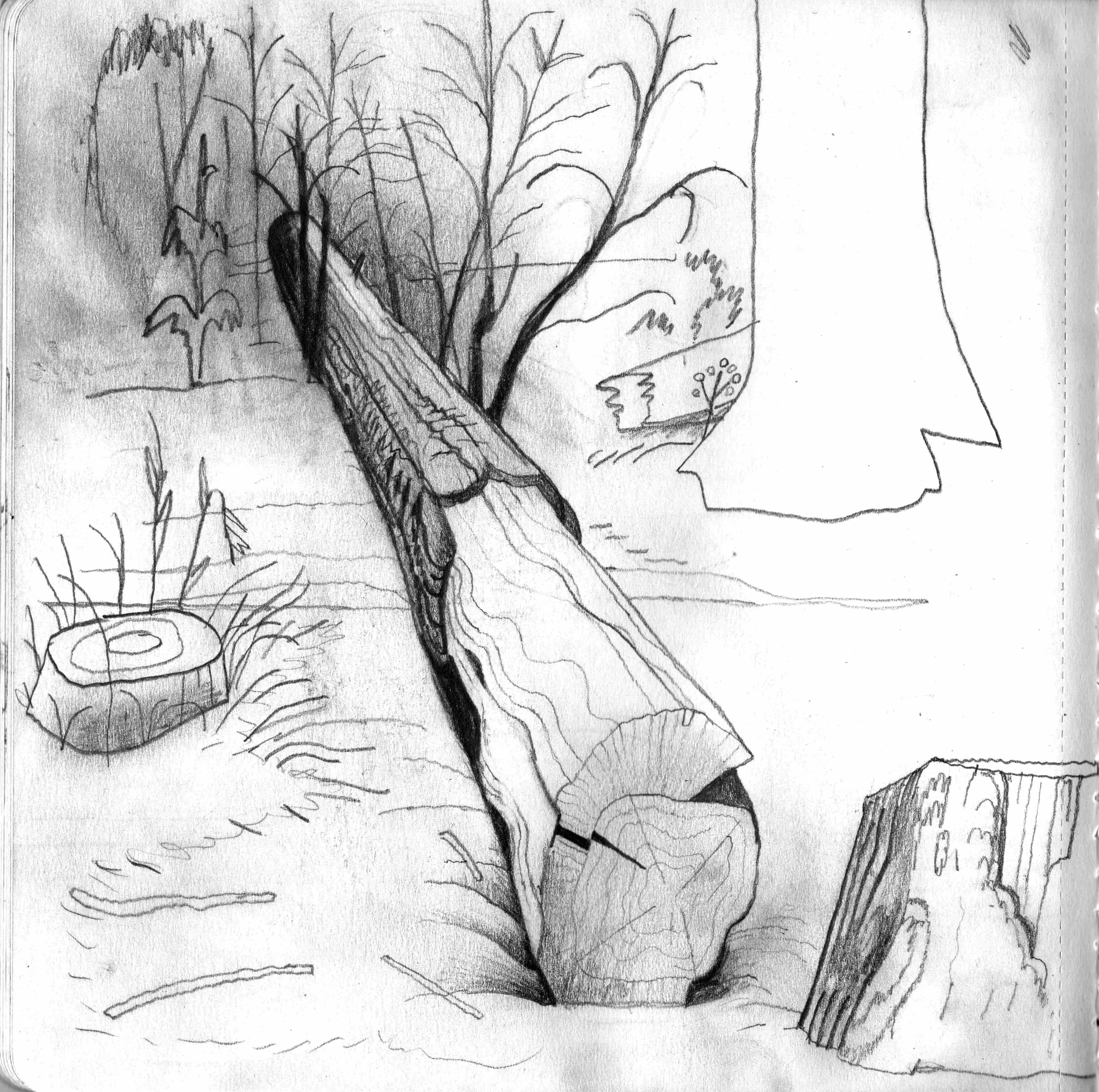 Drawings
