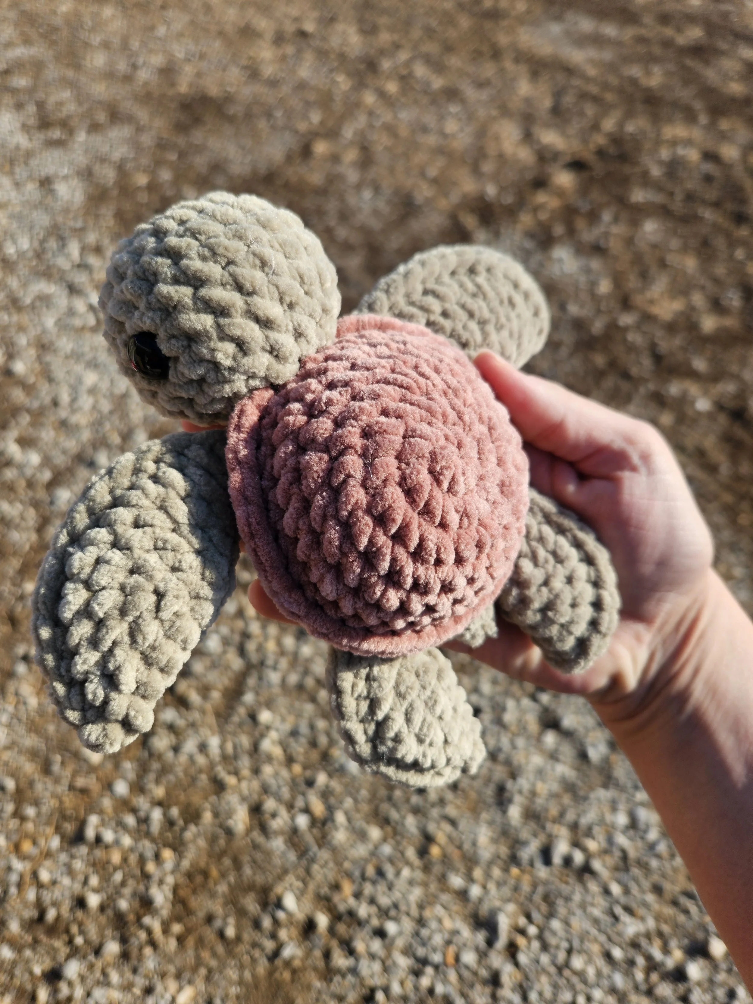 Turtle (green and brown)