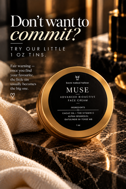 muse tin.png