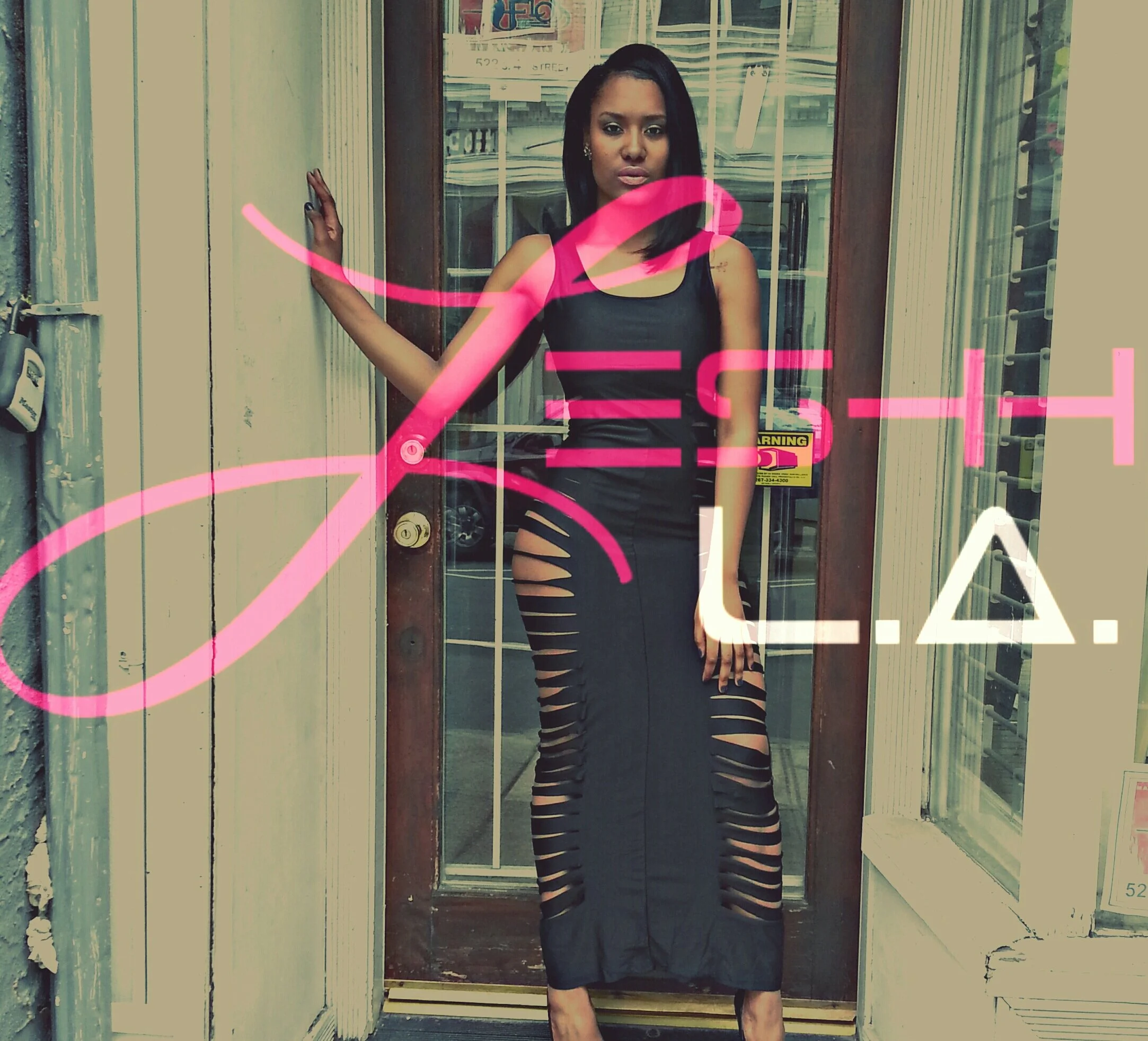 Leshh cover page.jpg