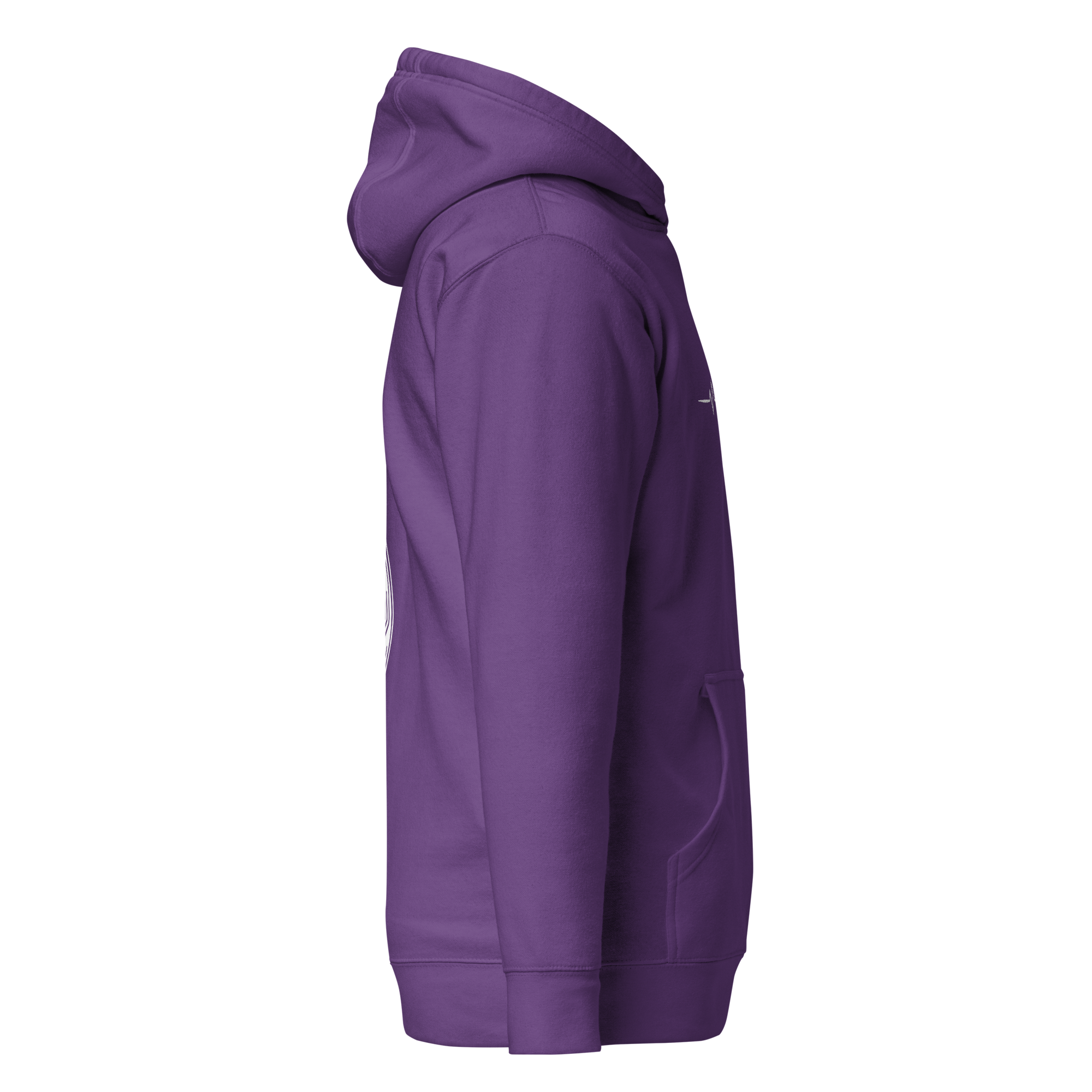 unisex-premium-hoodie-purple-right-675b8d6a34a70.png