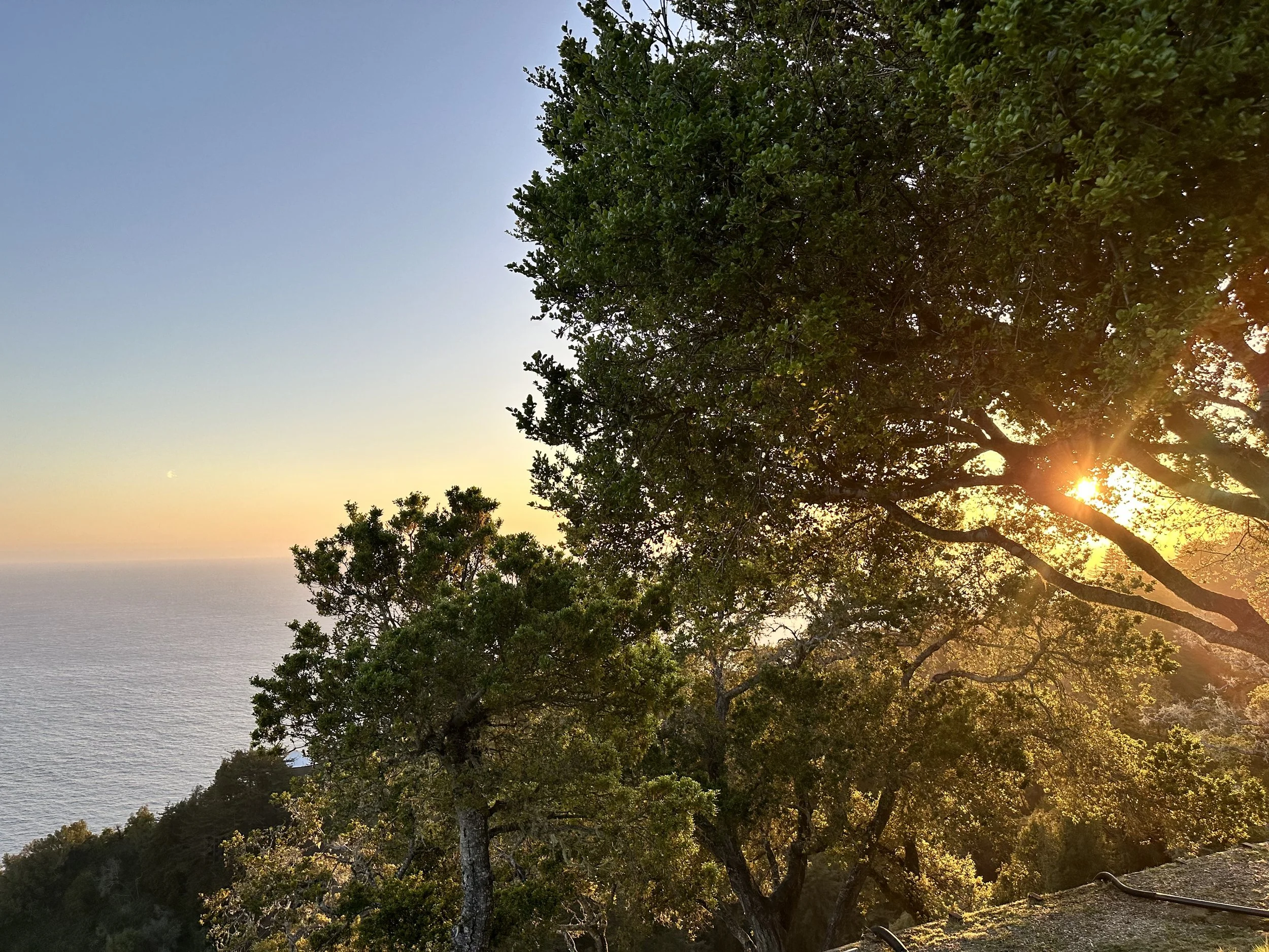 Reset and Recharge: Tips for Tough Days