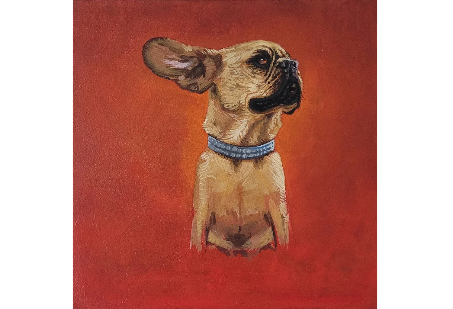frenchie_1.jpg (Copy)