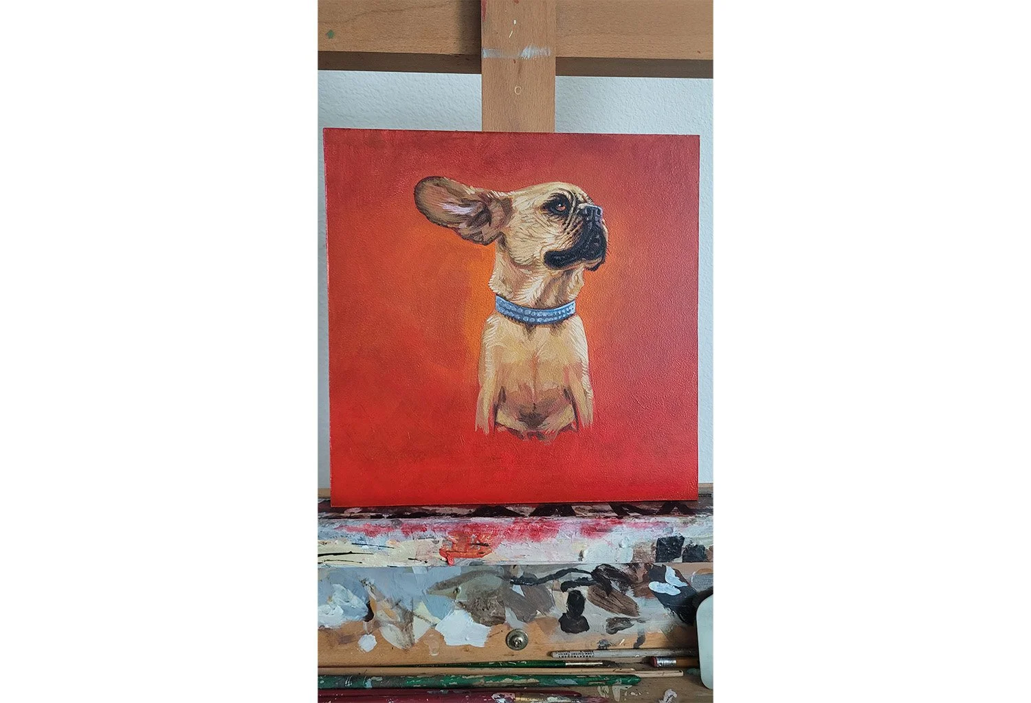 frenchie_3.jpg (Copy)