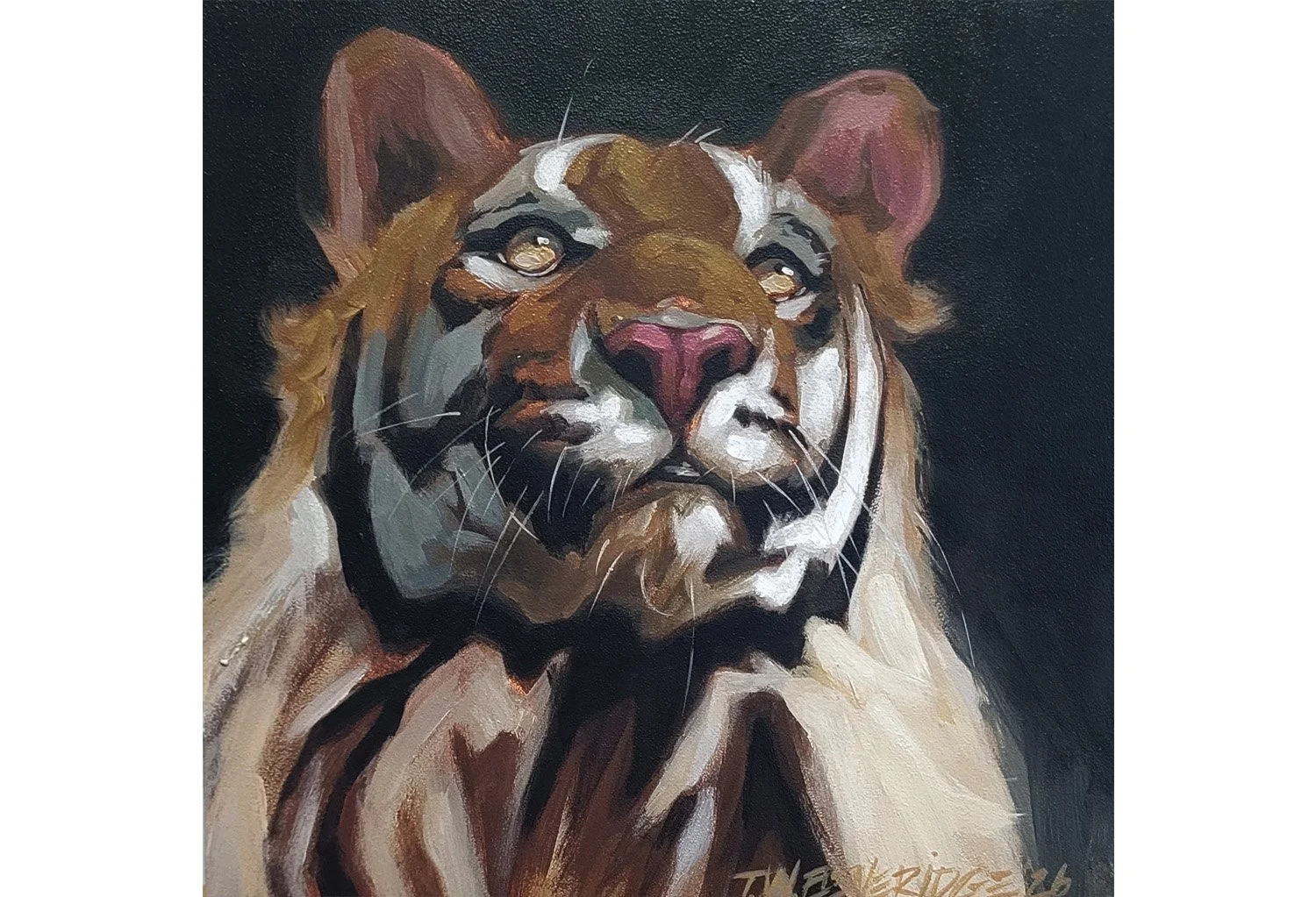 tiger onlly.jpg