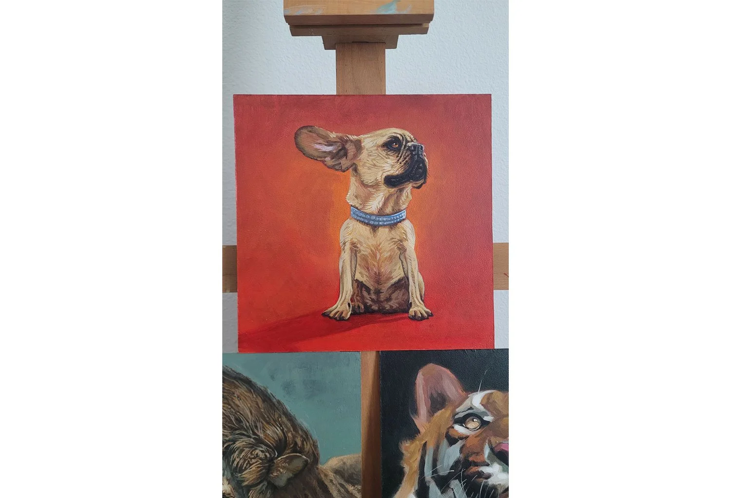 frenchie4.jpg