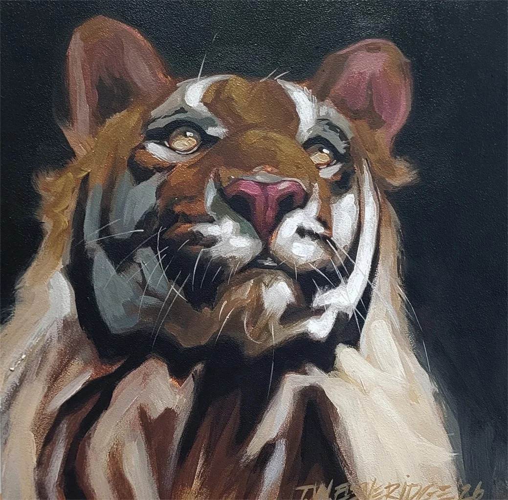 Tiger- Portrait on panel