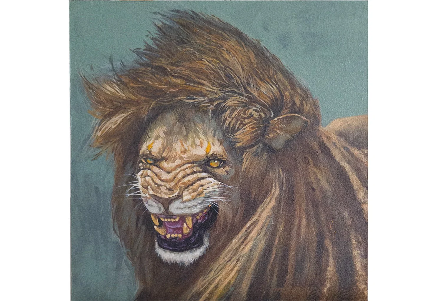 Lion 1.jpg