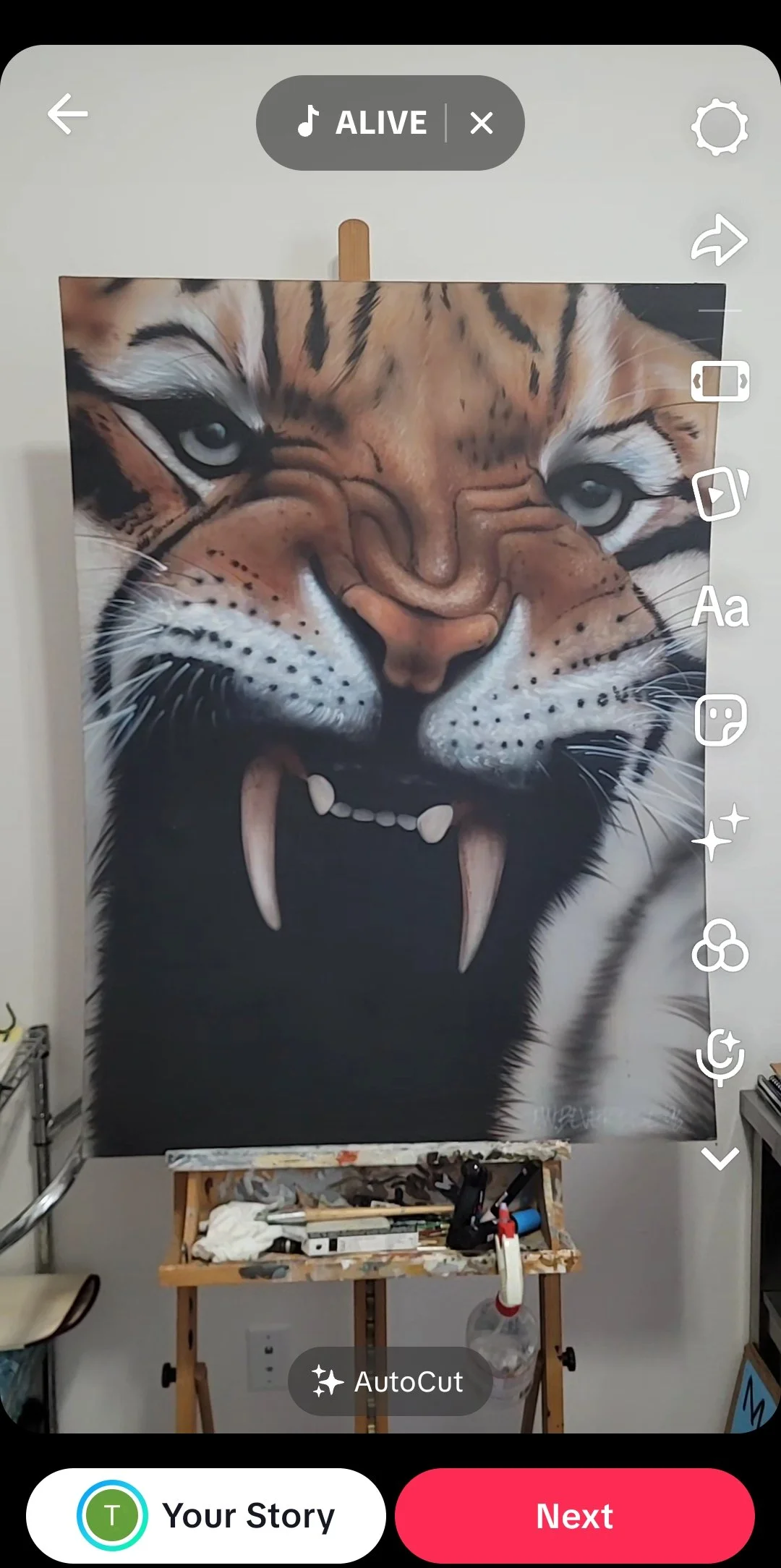 tiger from tiktok.jpg