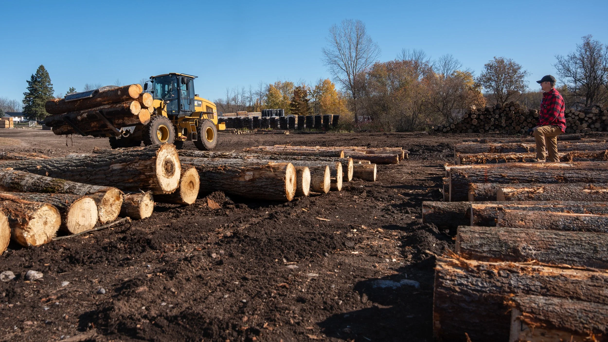 LECLAIR_Chisholm_Lumber_6158.JPG
