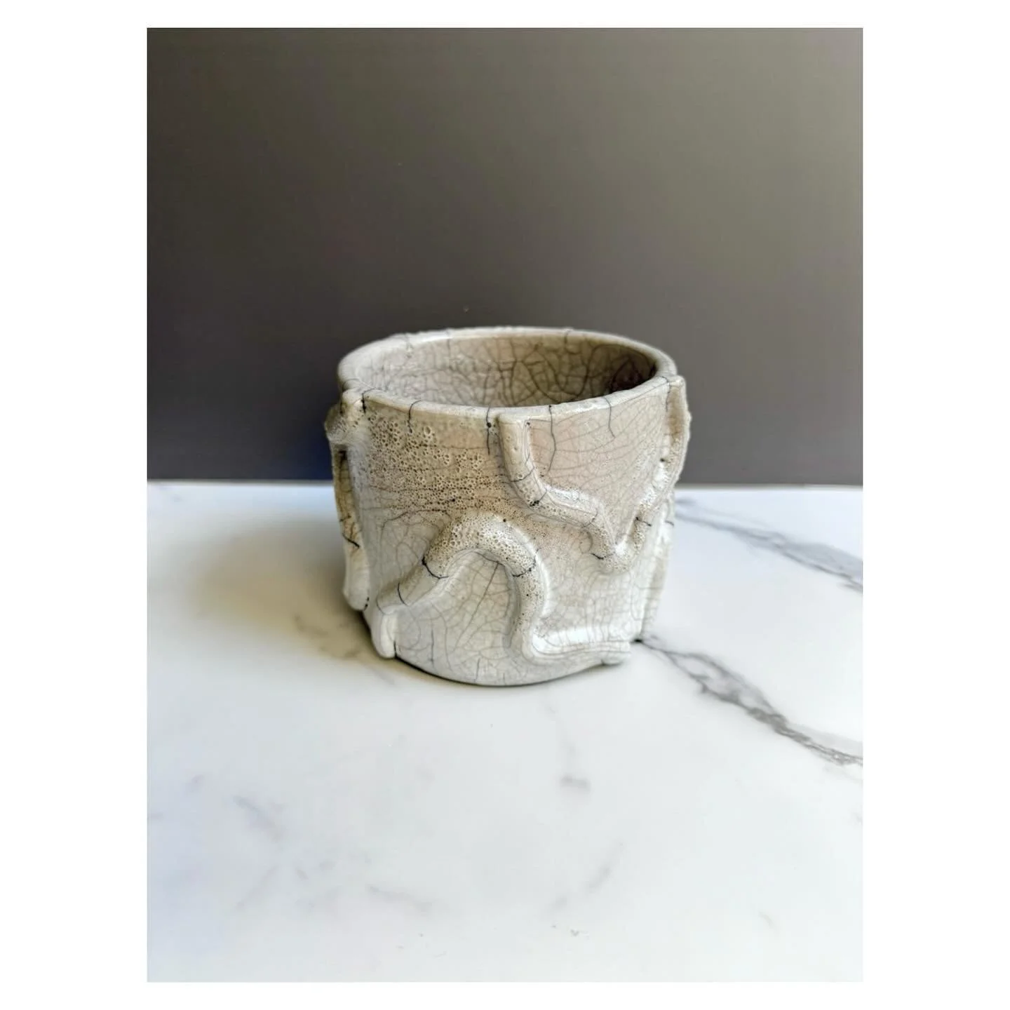 Raku white crackle glaze 🪴