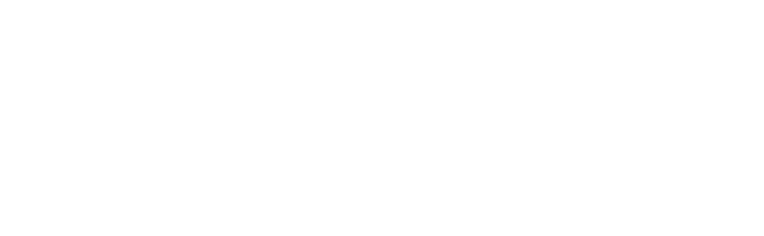Value Our Strengths Nevada PAC