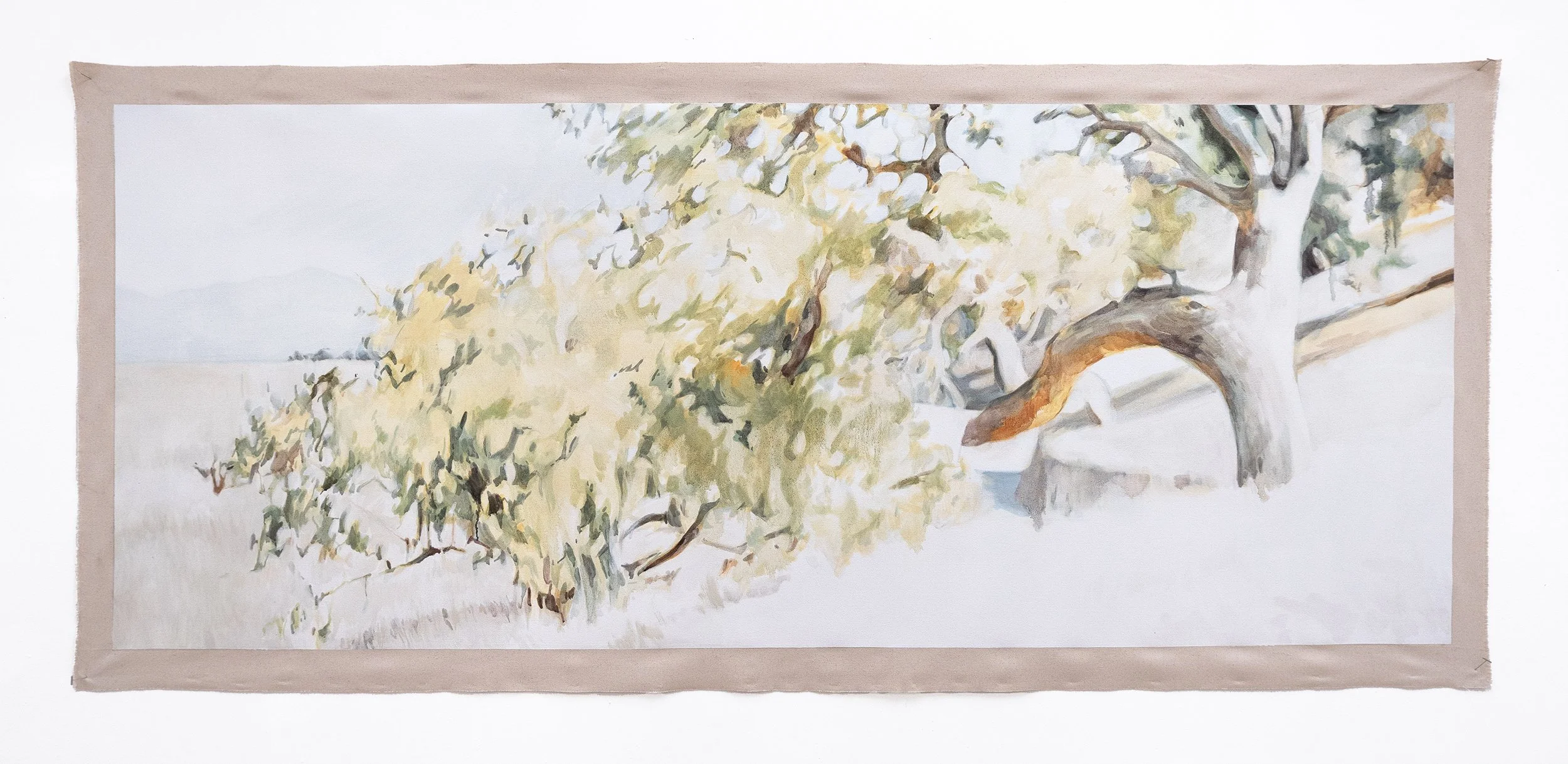 valley oak