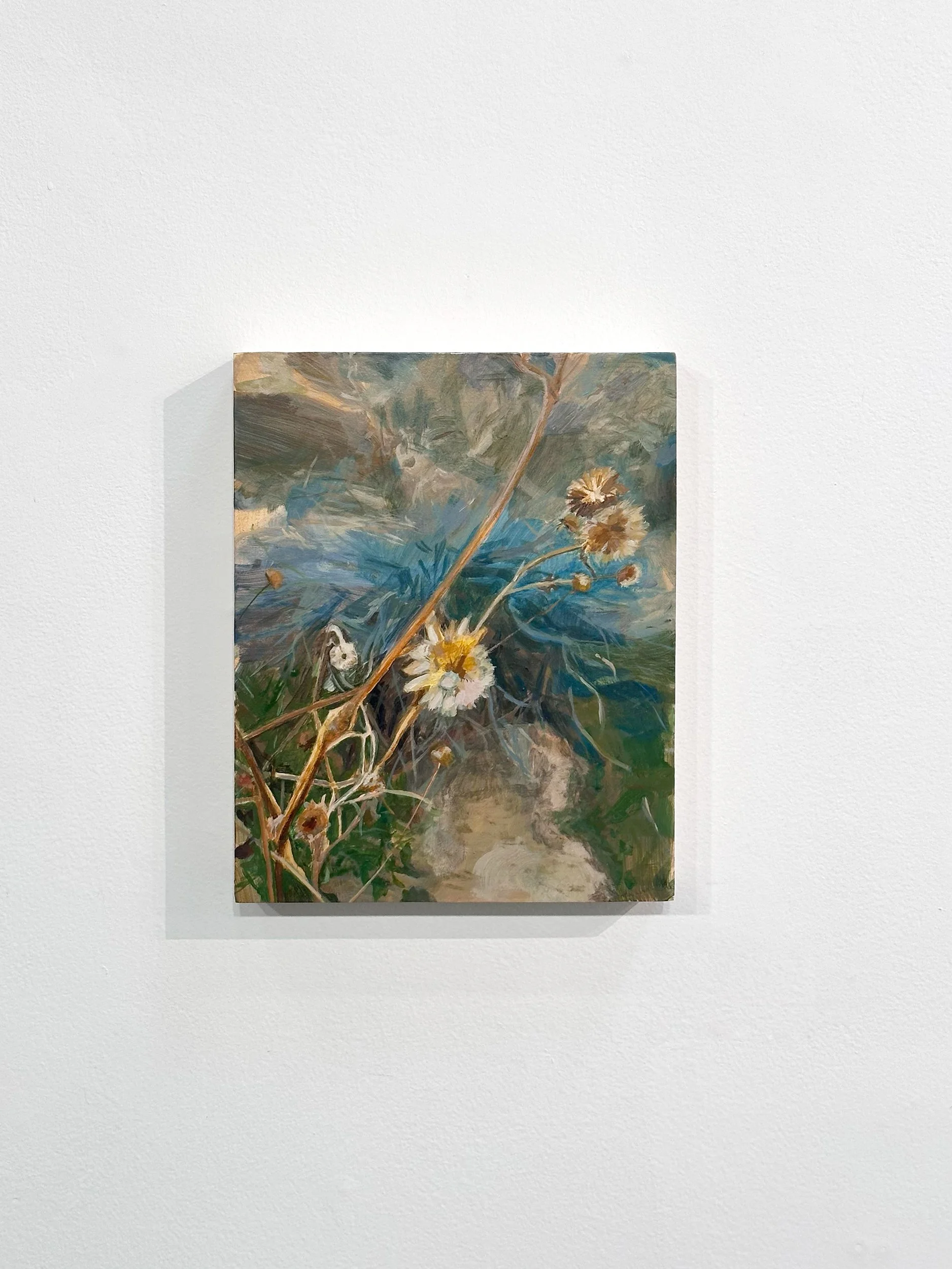 A Portrait of Helianthus (Wild Sunflower)