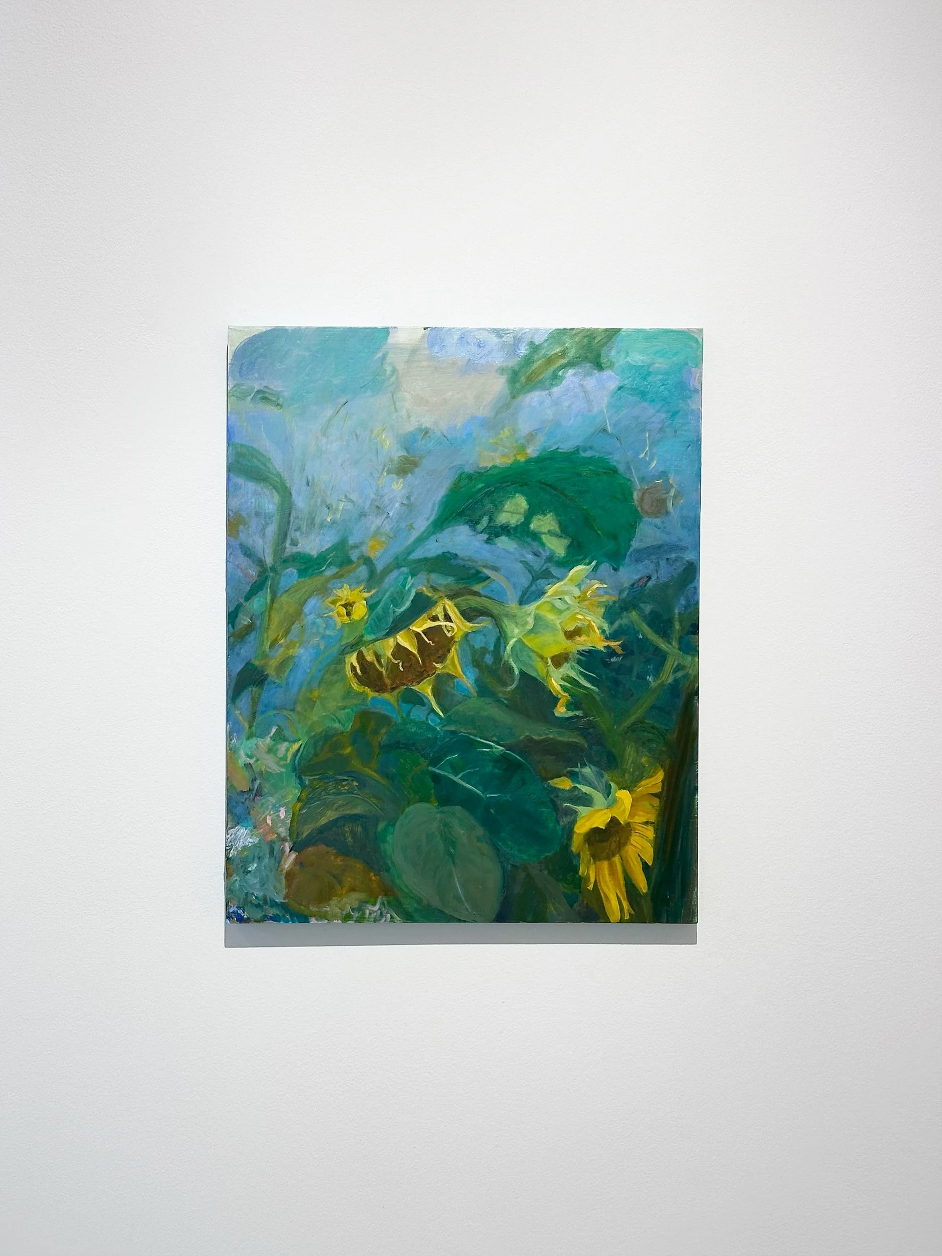 Three Sunflowers, Leaf Cover