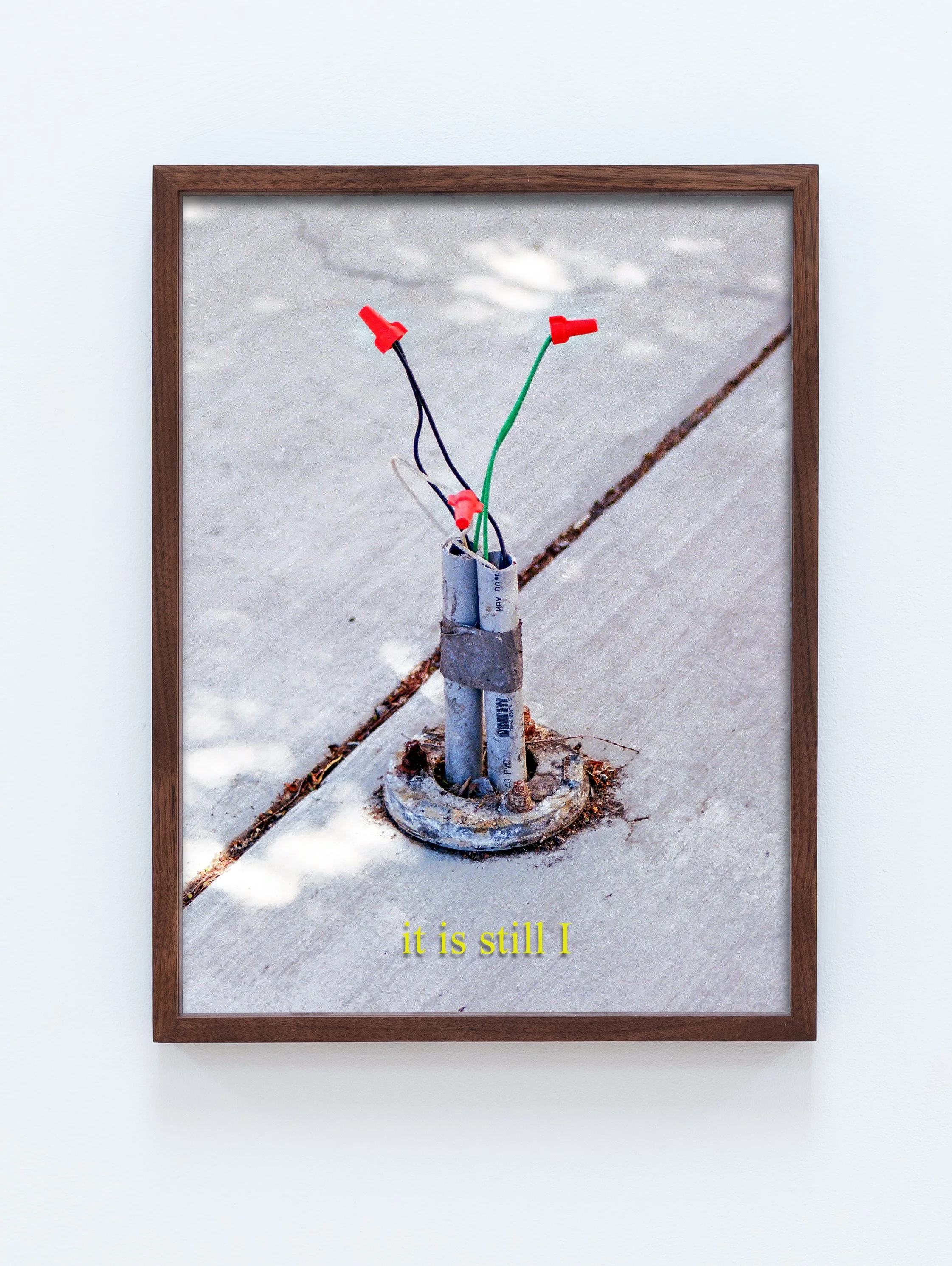 Watering the veronicas (It is still I)