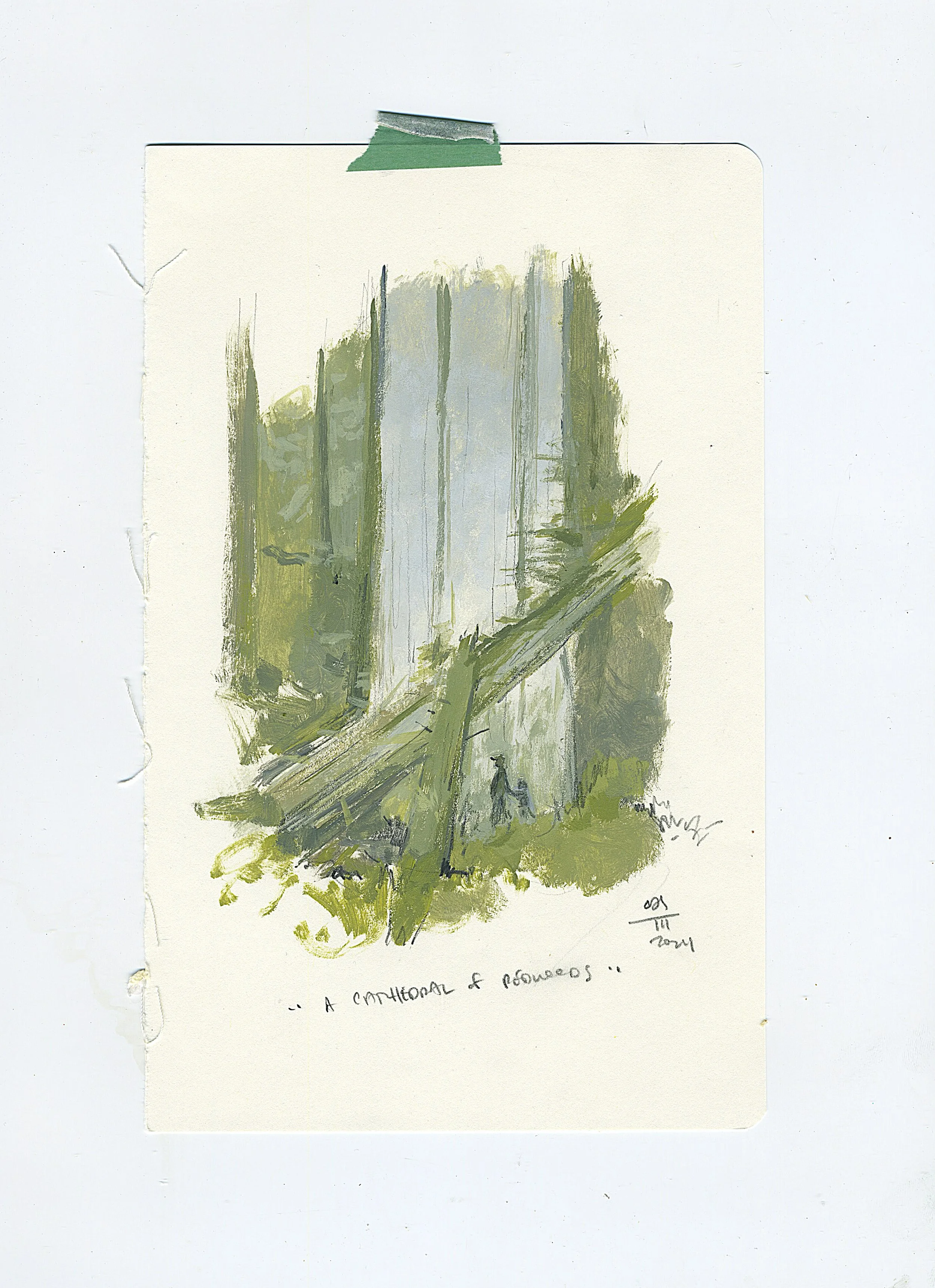 Study #13