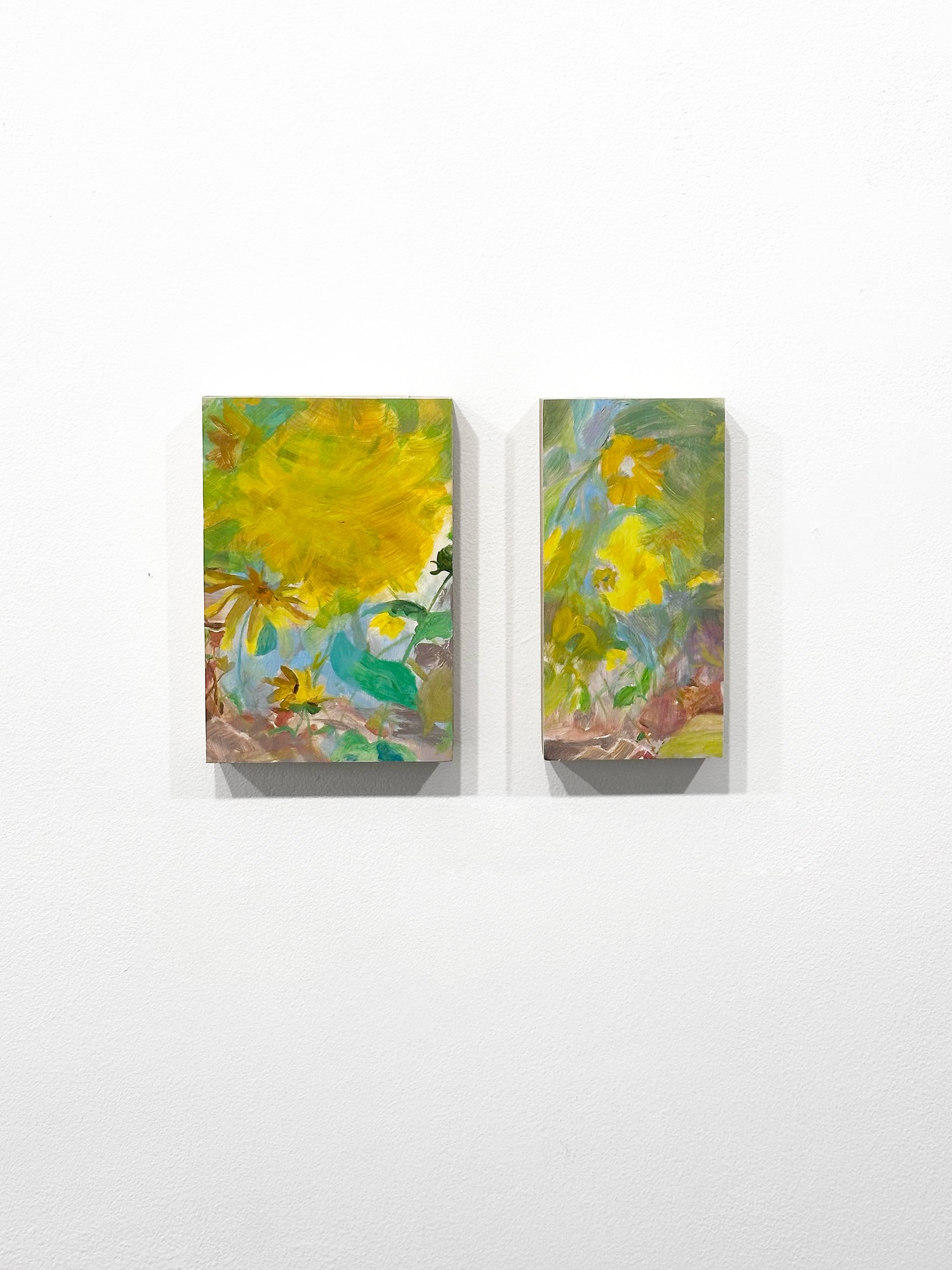 Sun Burst / Looking Out