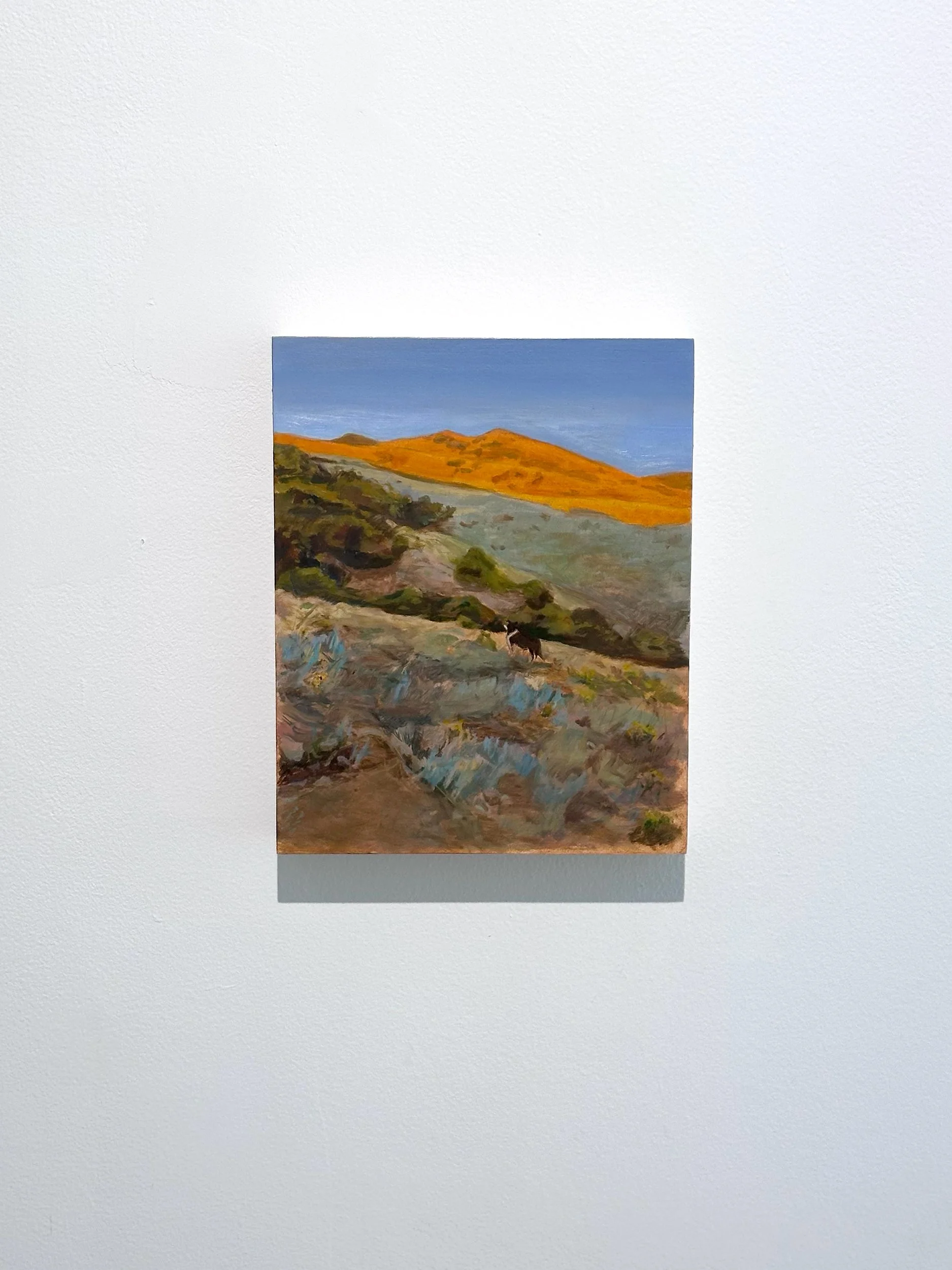 Lil' Bess, Lil' Light