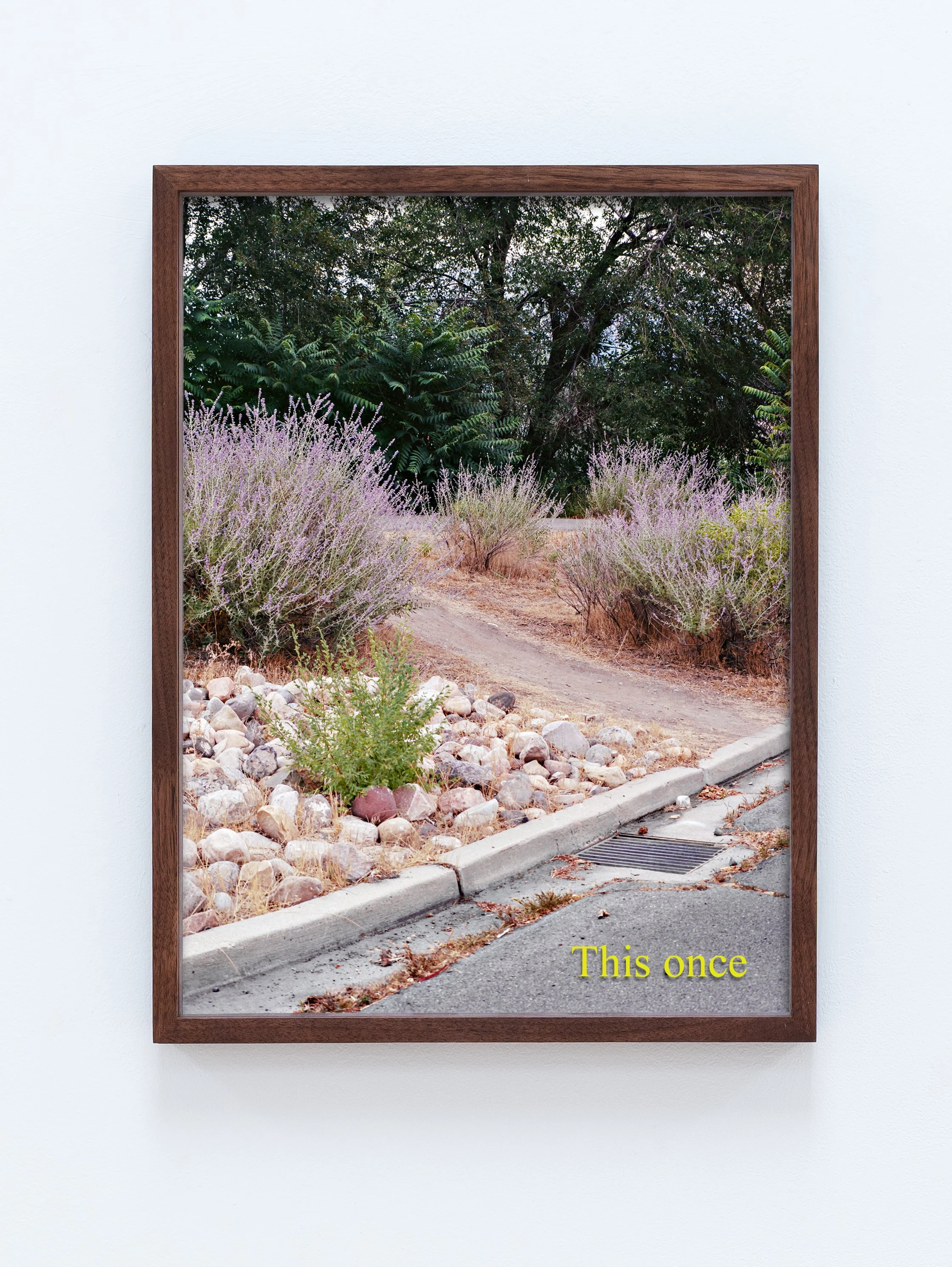 The Silence (This once)