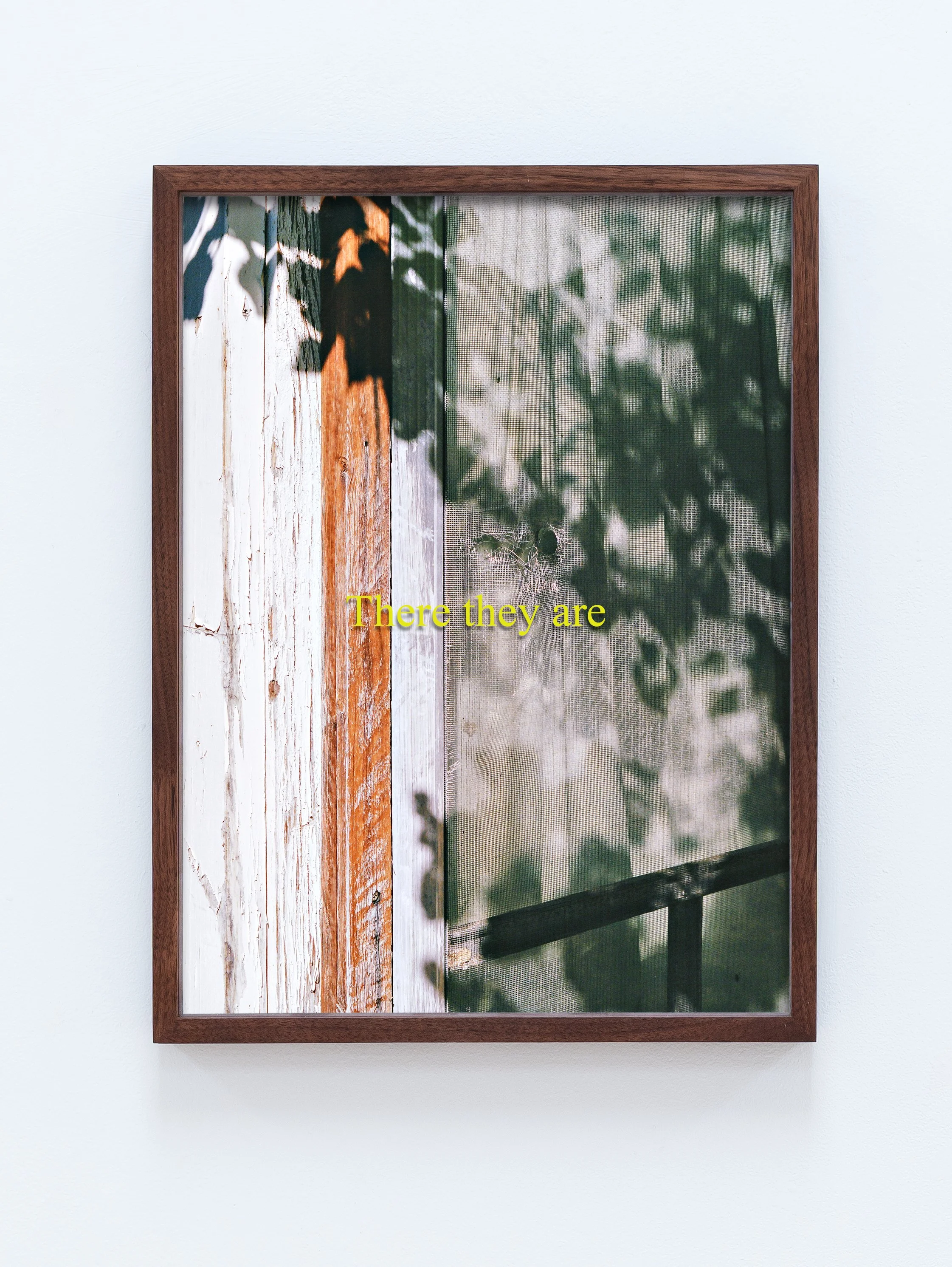 Ceaseless hammering of the cicadas (There they are)