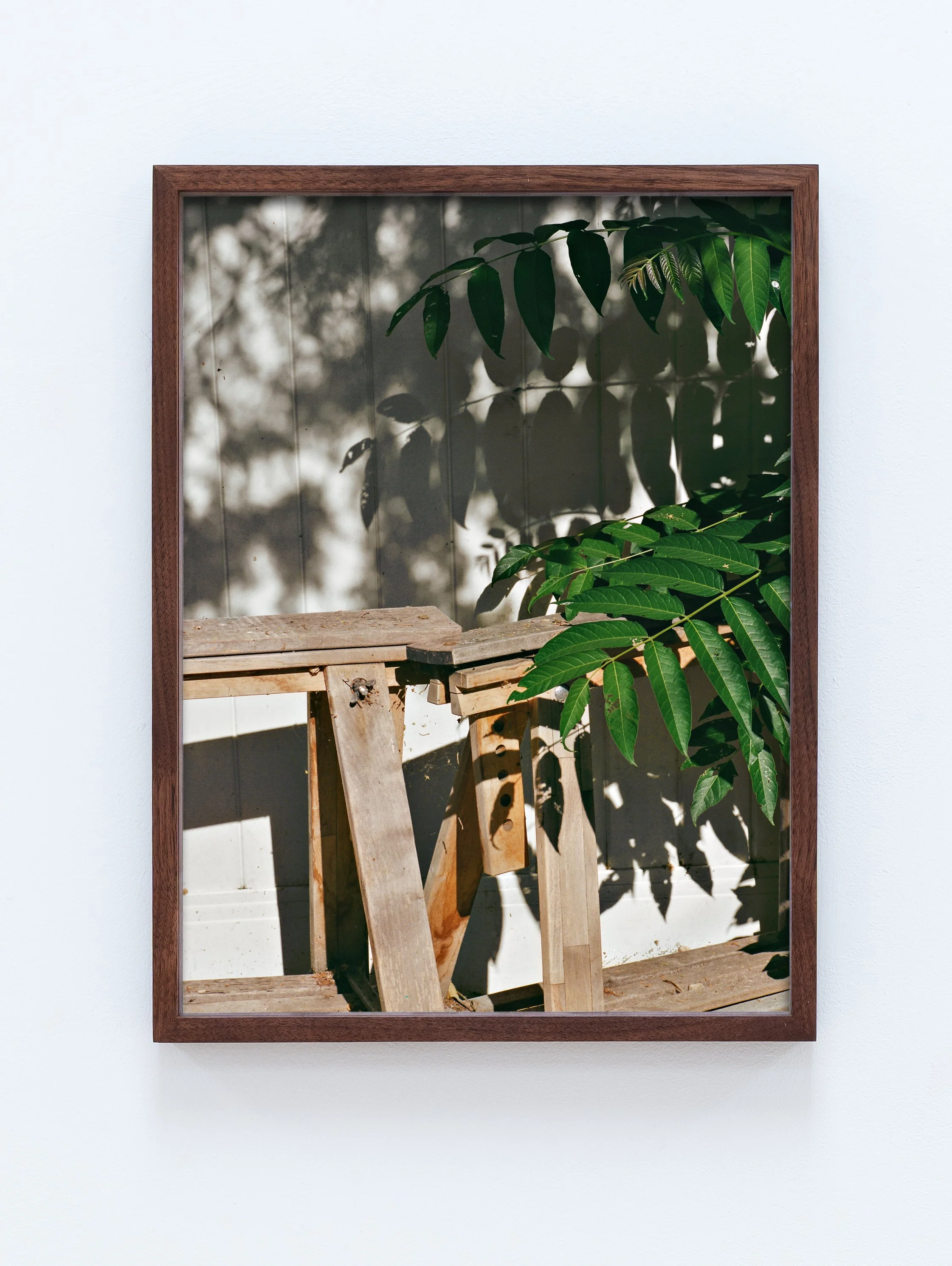 Allusive or sibylline