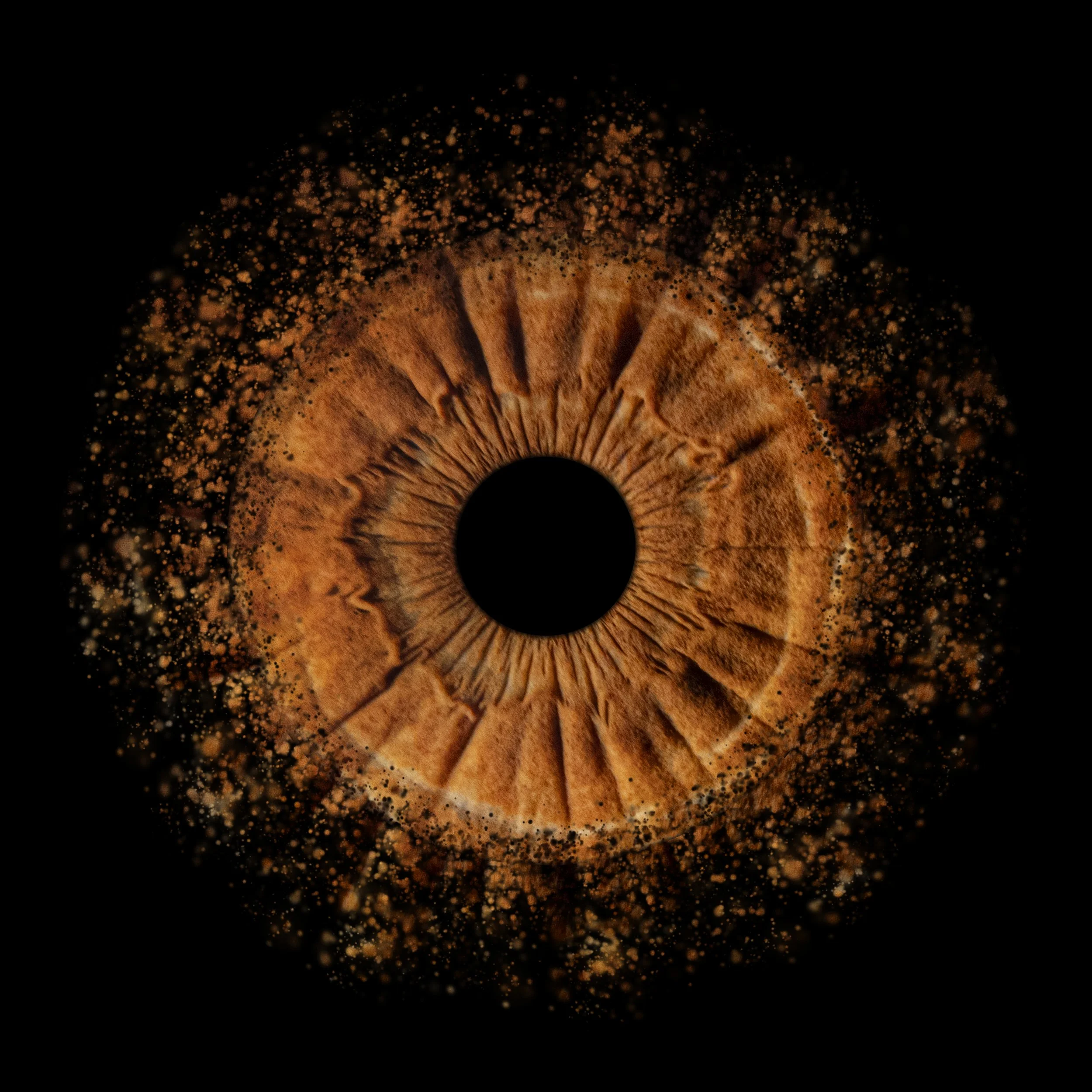 oneiris-splash2 (1) copy.jpg