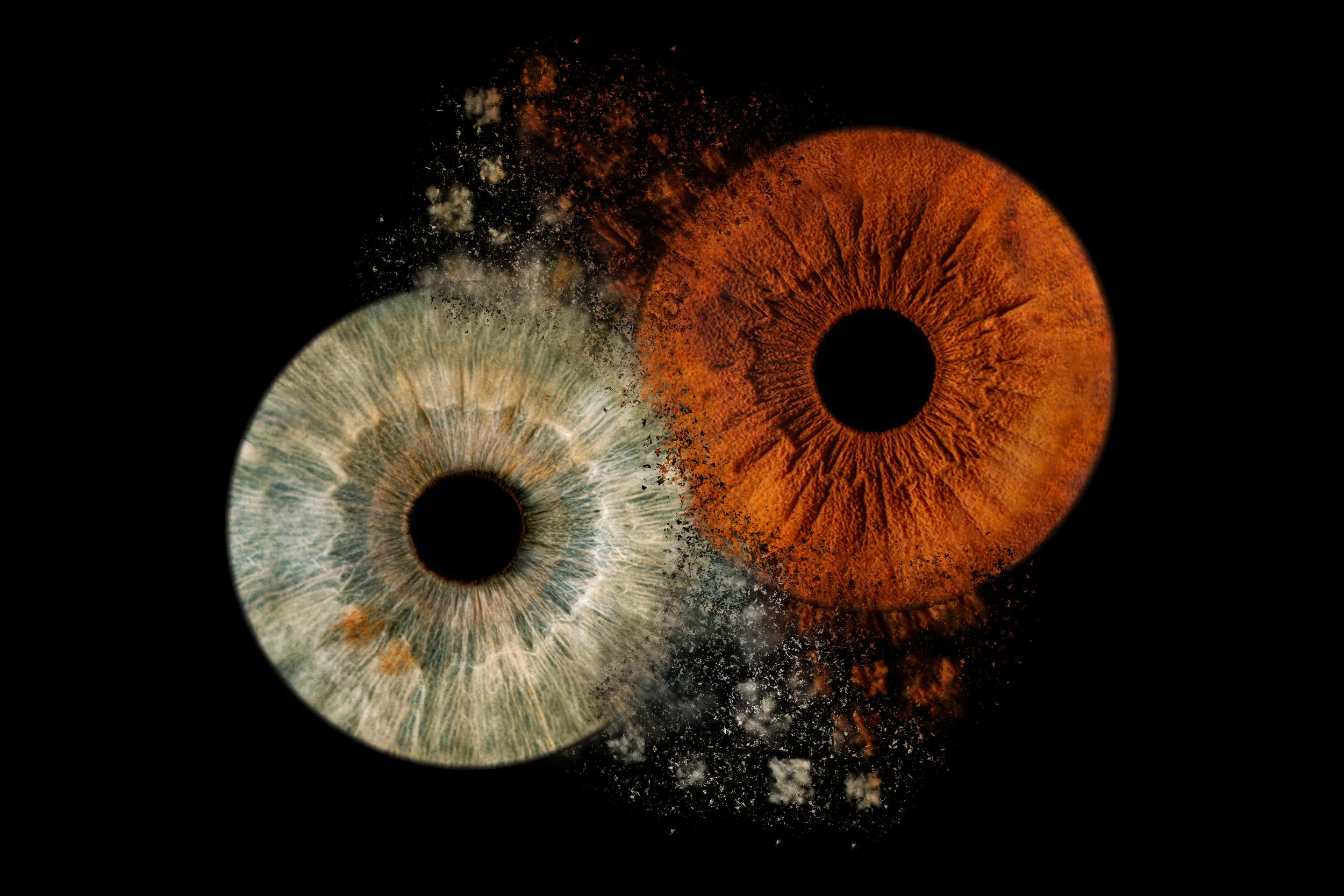 2 iris collision copy.jpg