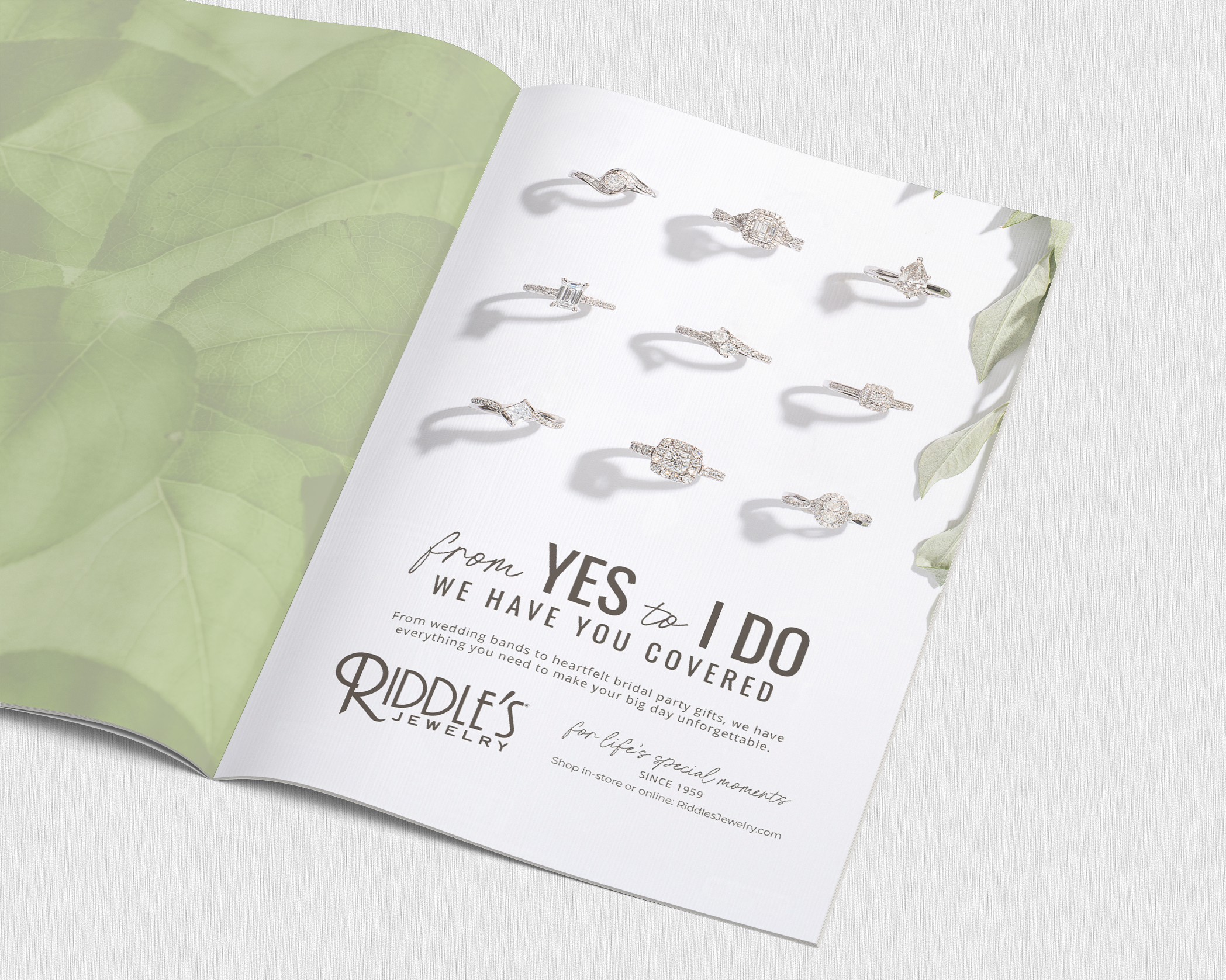 Open jewelry catalog displaying eight diamond rings with varying designs, shadows cast on a white background, green leaves on the page's left and right margins, promotional text for Riddle's Jewelry about wedding bands and bridal party gifts.