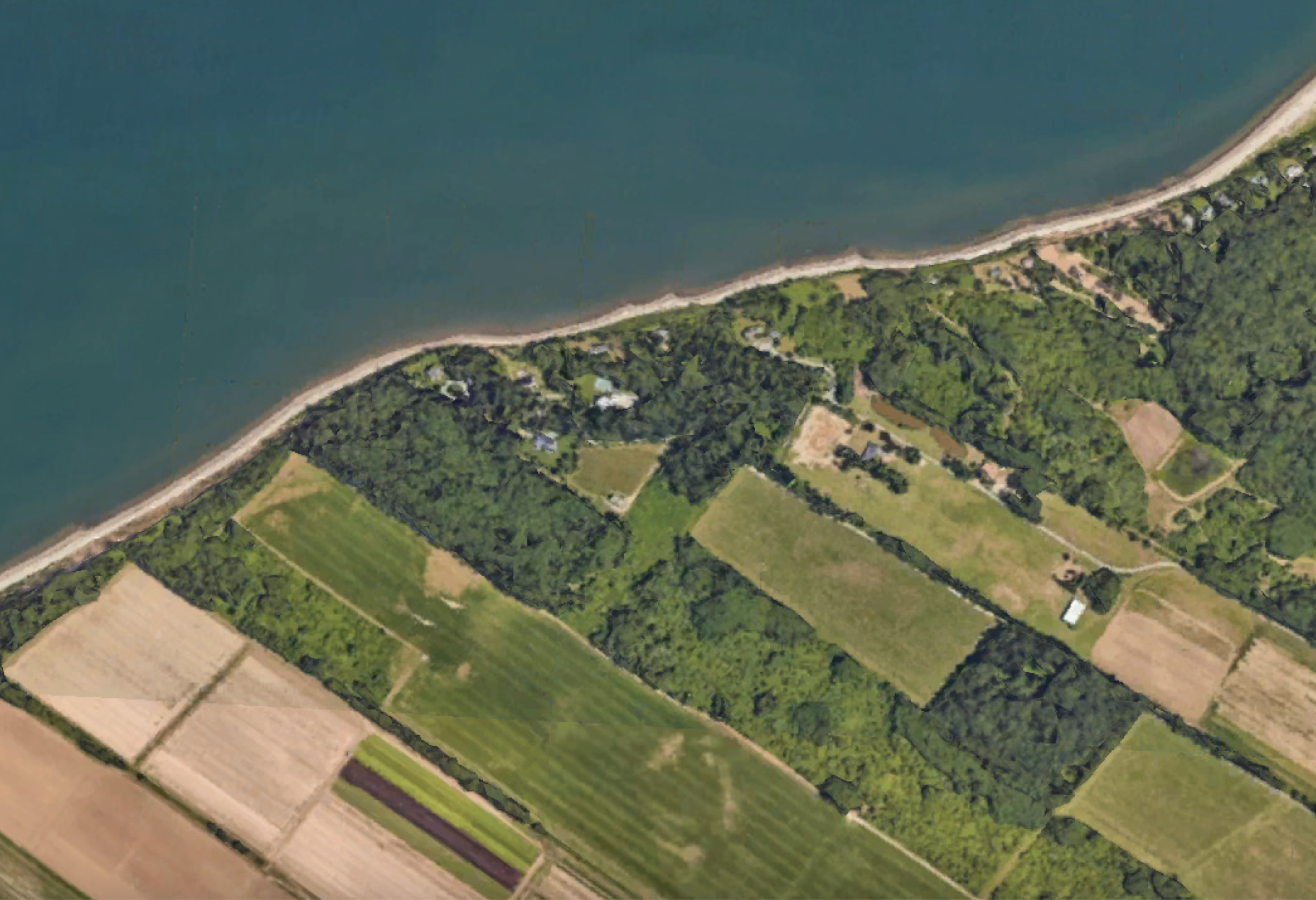 Norhfork vinyardth.png