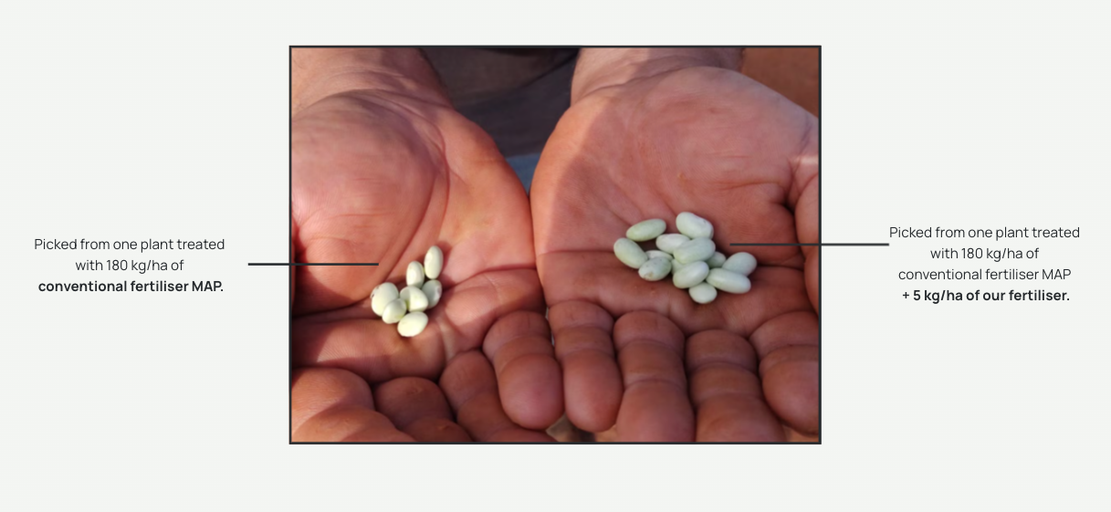 Screenshot 2024-11-03 at 4.07.35 pm.png