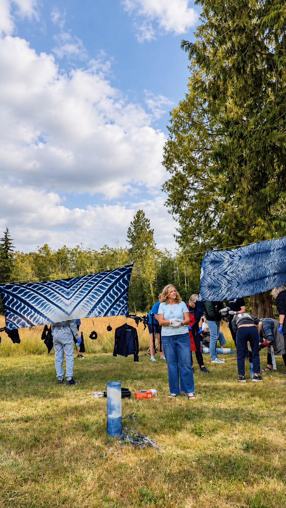 Indigo Dye with Elin Noble