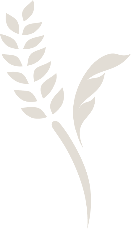 Simplified graphic of a wheat stalk with leaves on a black background.
