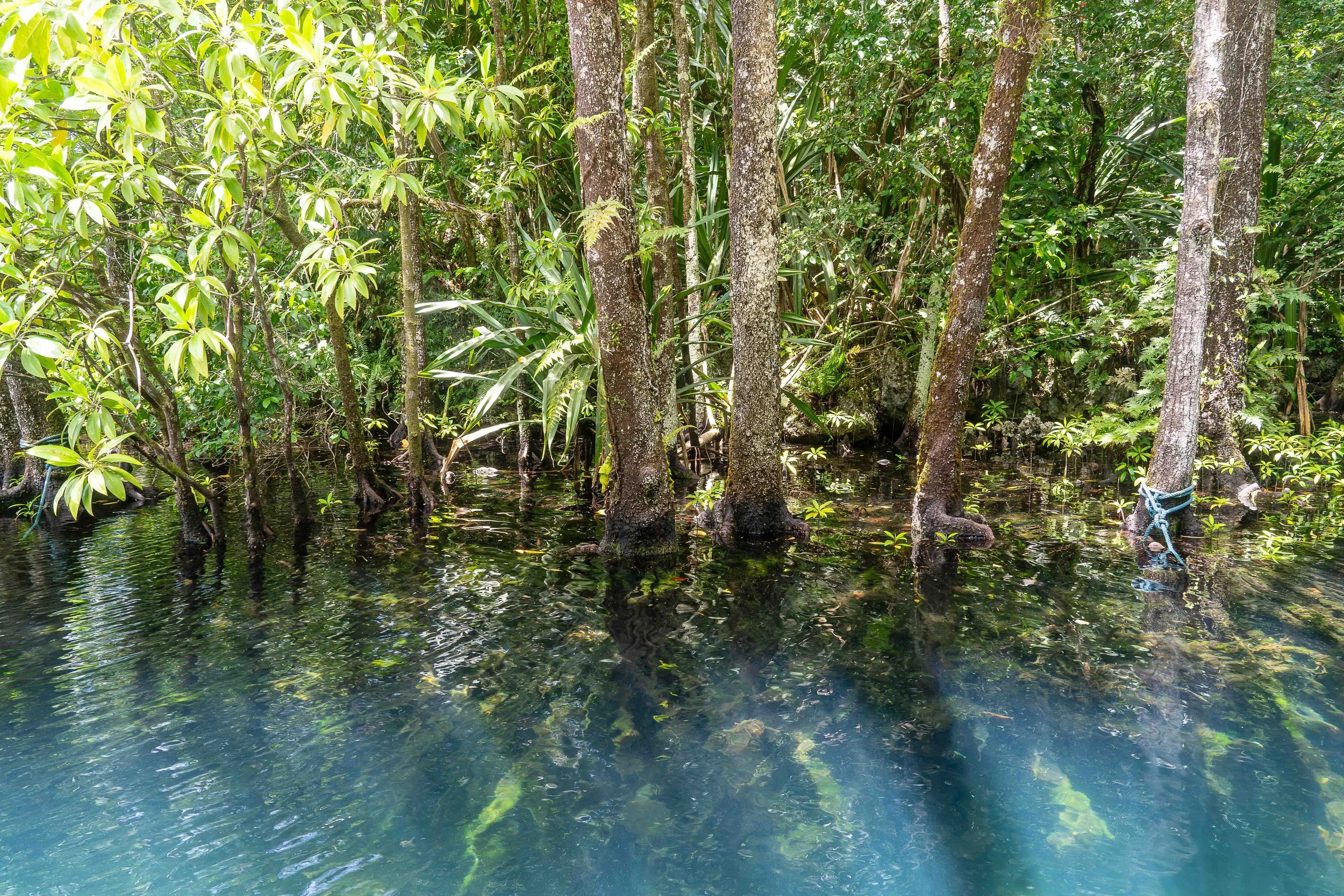 Palau Sunday 5.jpg