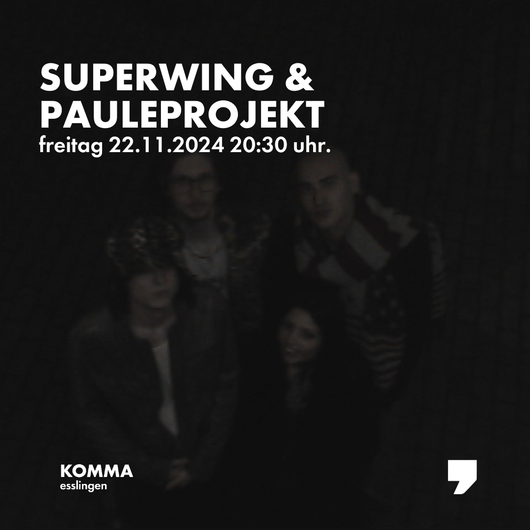 Superwing & Paule Projekt