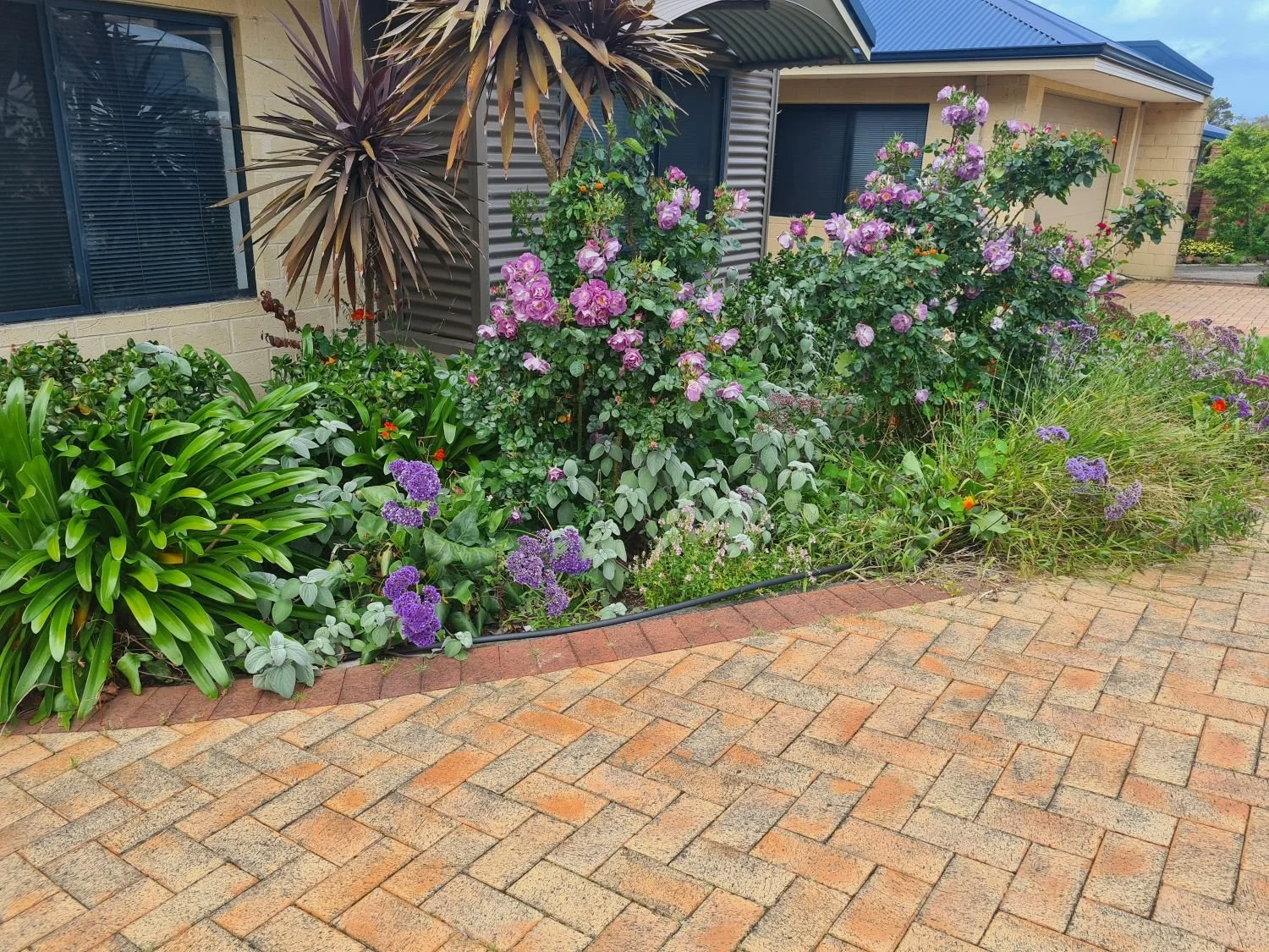 sheoak-gardening1-opt.jpg
