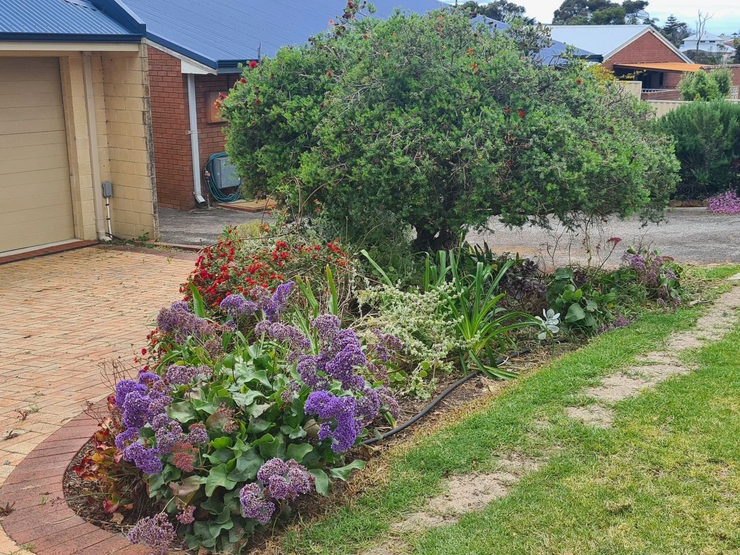 sheoak-gardening3a-opt.jpg