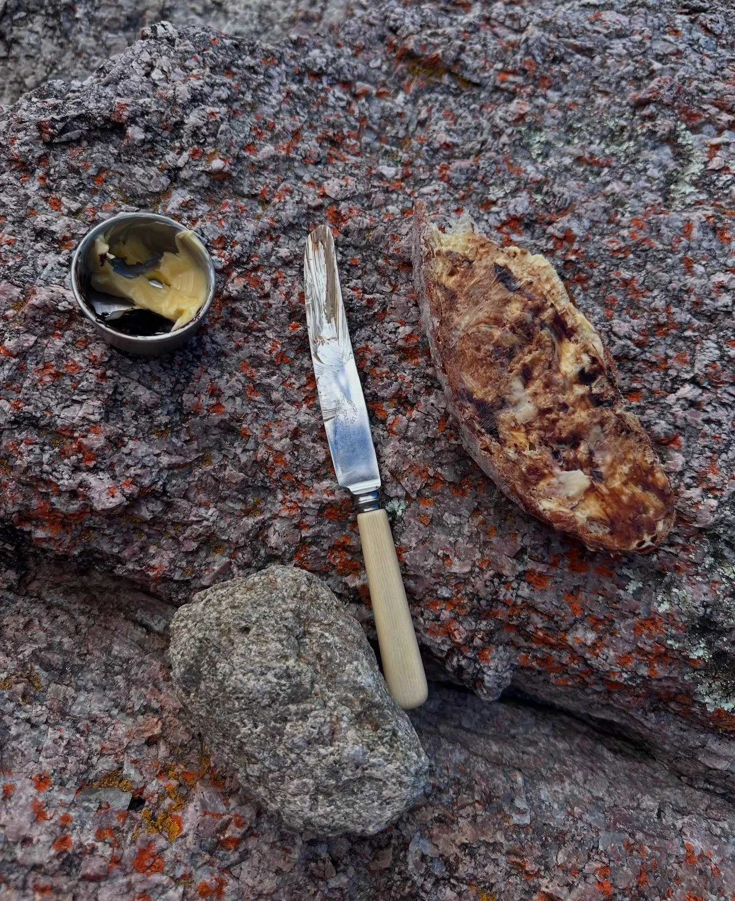 a slice of bread with butter and Vegemite on a rock with lichen on it in the sun after a swim and now the bread is camouflaging to the rock is one of the best experiences
