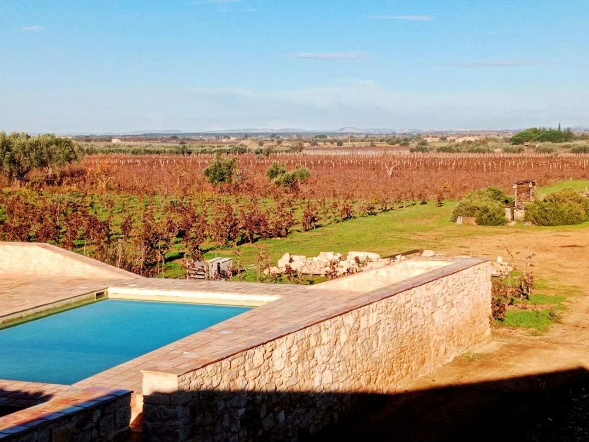 Vigna di pettineo.jpg