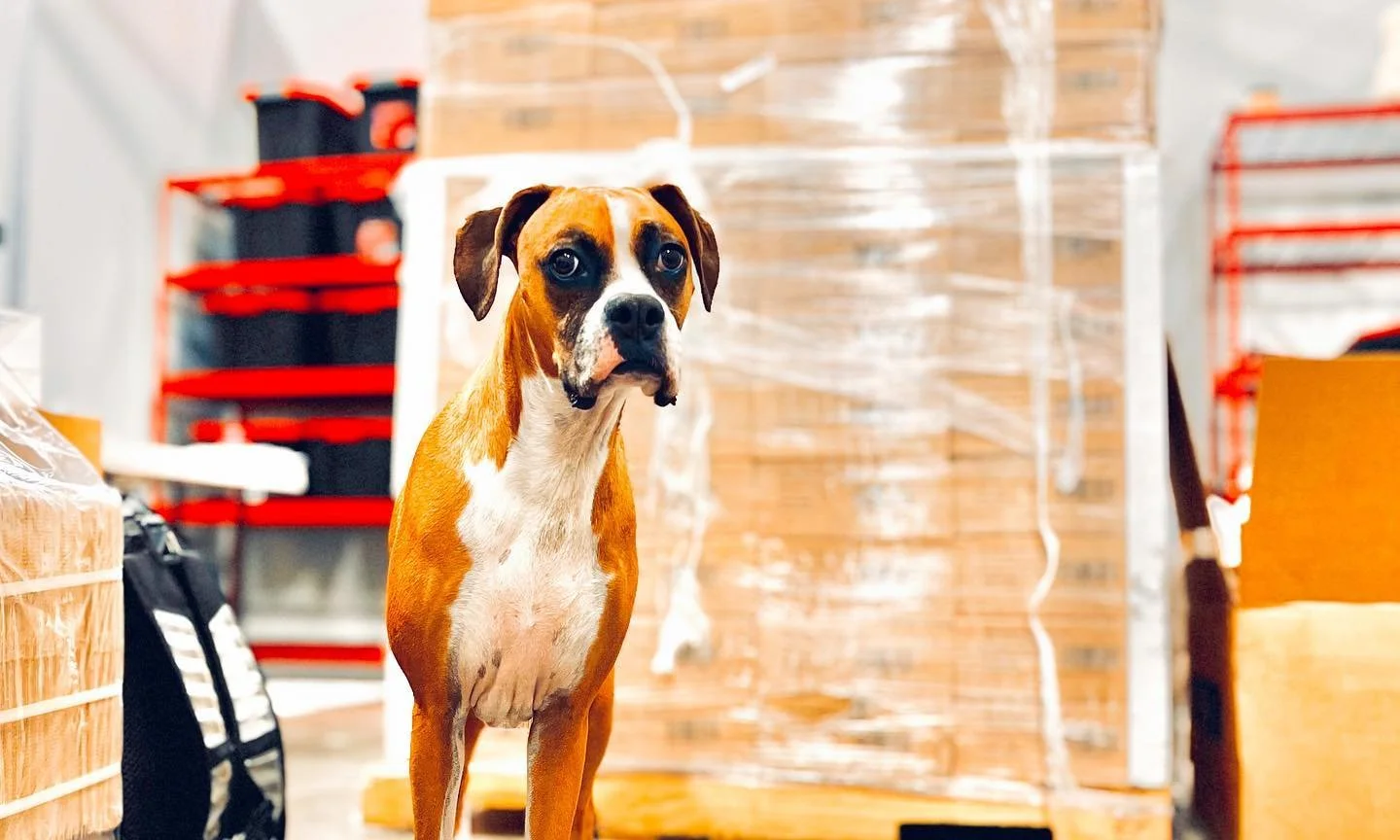 📍Miami, A-1
#expansion #growthmindset #warehouseproject