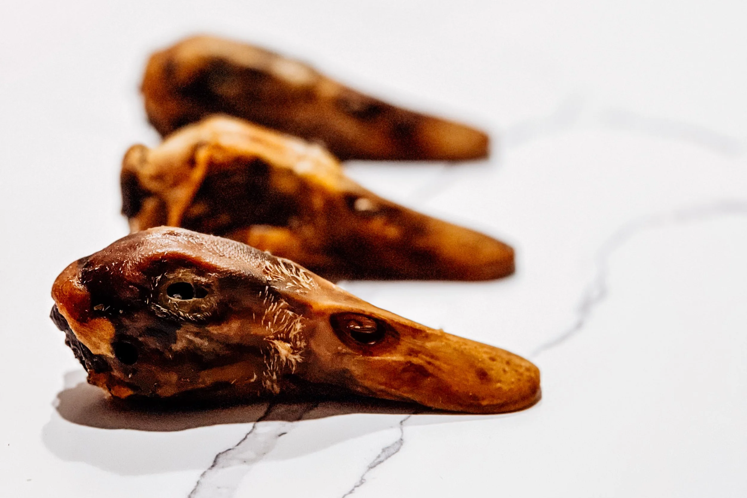 Air-Dried USA Duck Heads