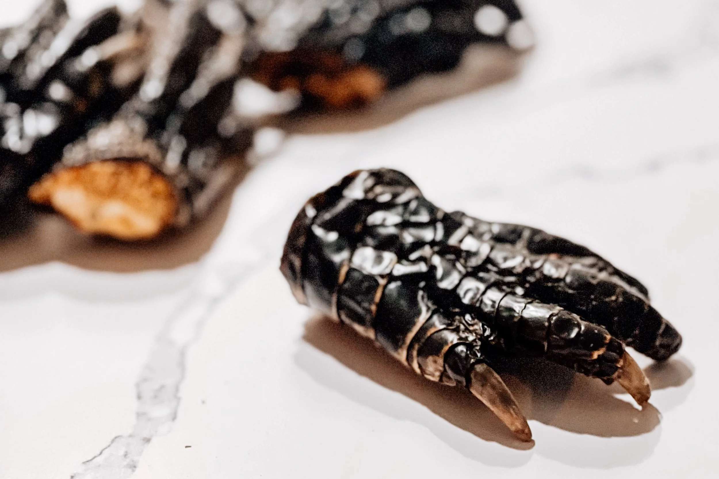 Air-Dried USA Alligator Paws