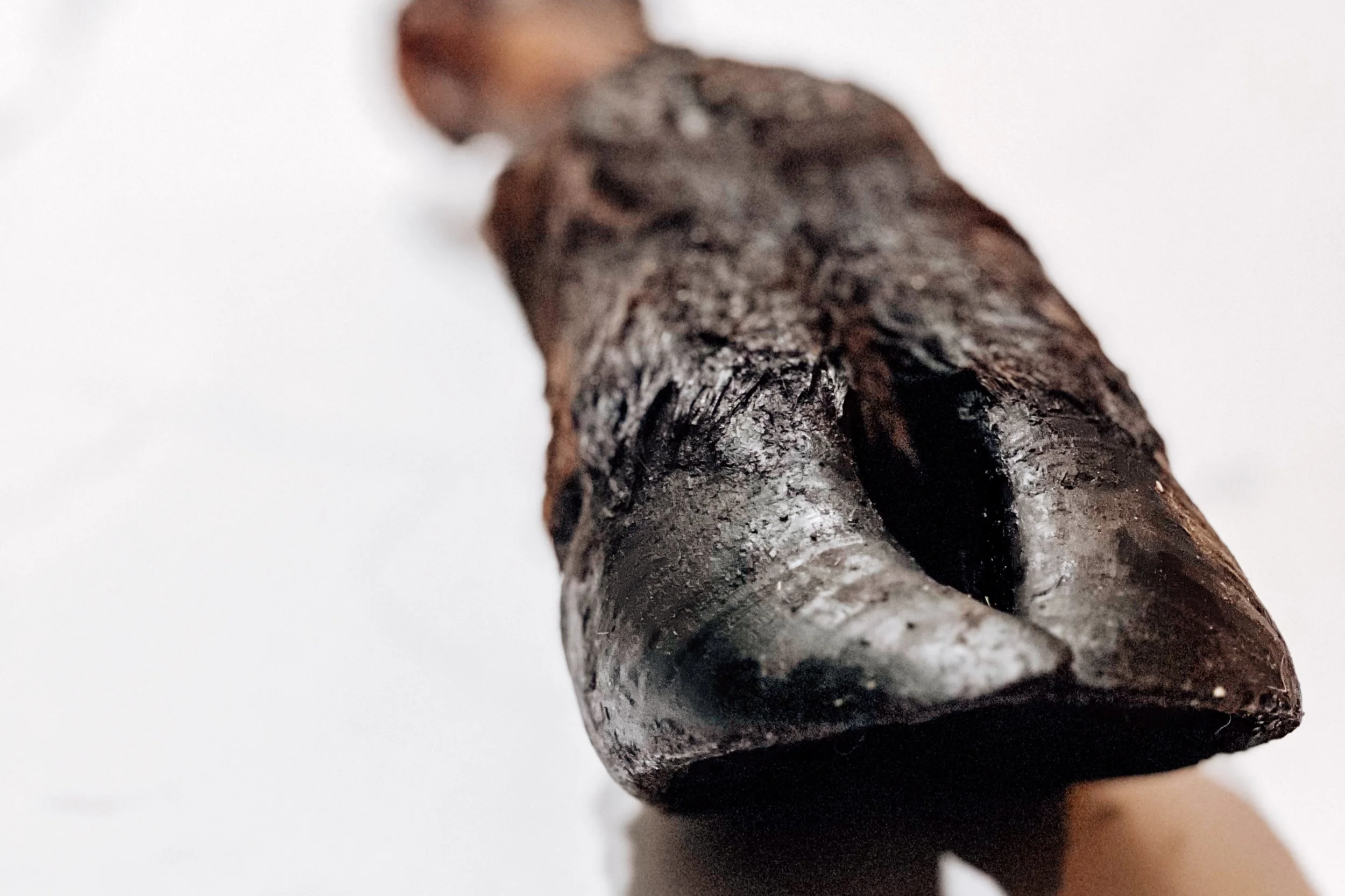 Air-Dried USA Furry Bison Hooves