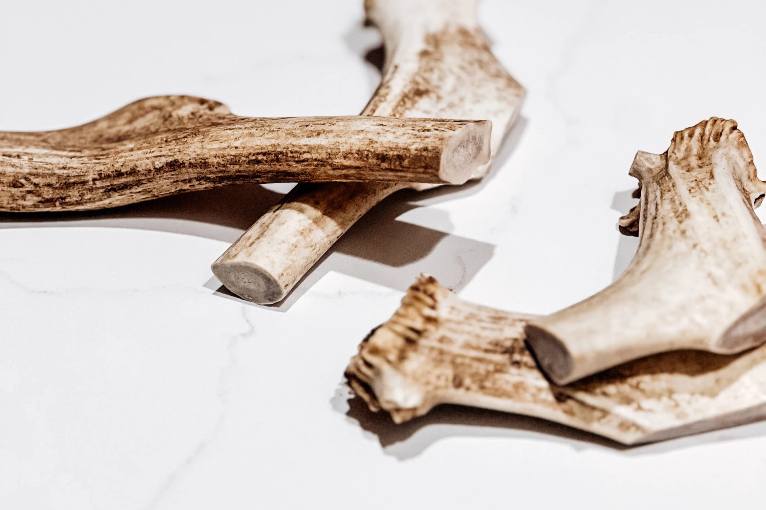 All Natural USA Reindeer Antlers