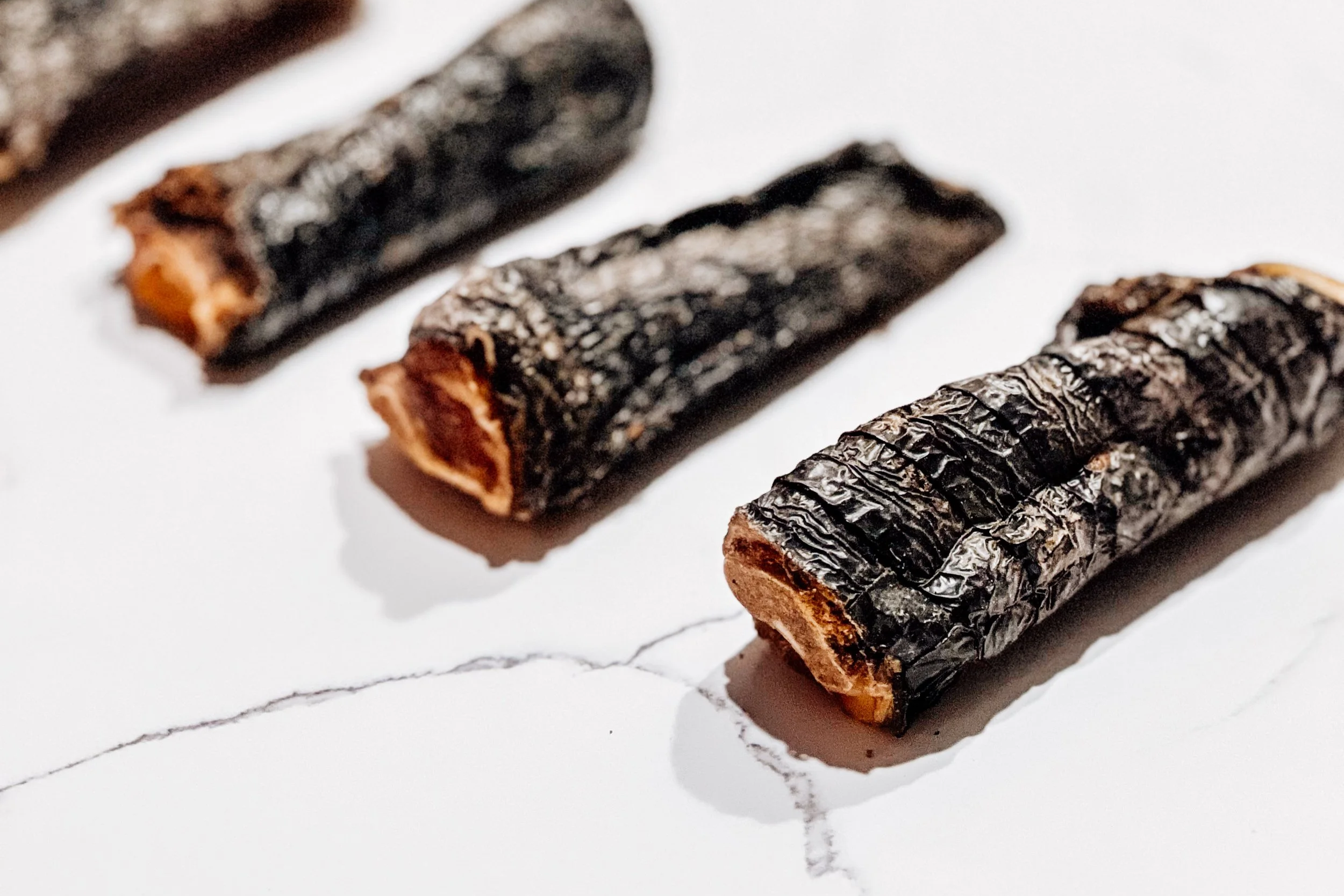 Air-Dried USA Alligator Skin Wrapped Bones