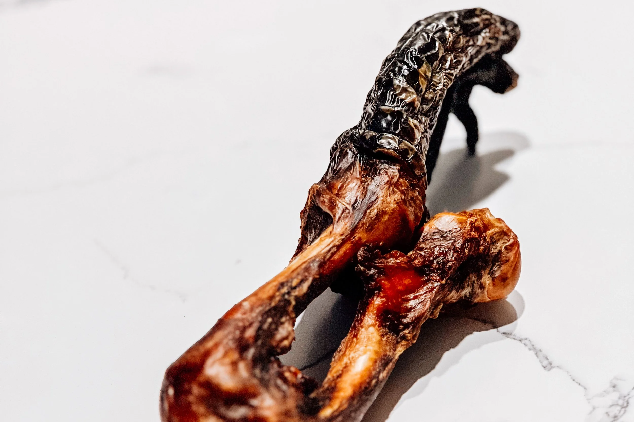 Air-Dried USA Alligator Whole Legs