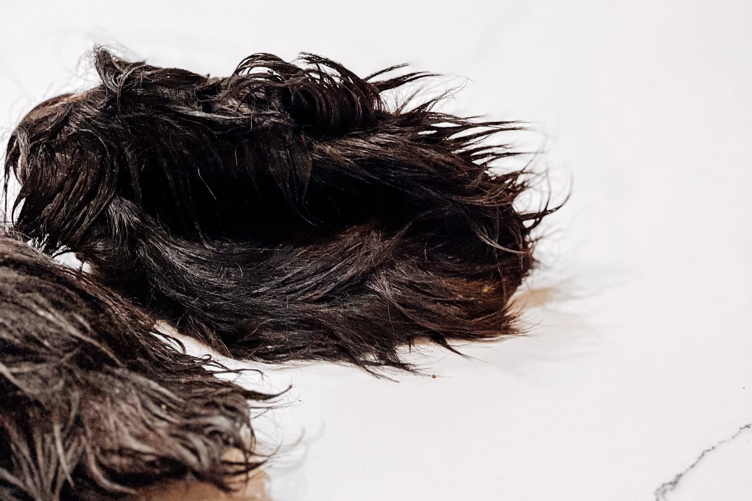 Air-Dried USA Furry Bison Ears