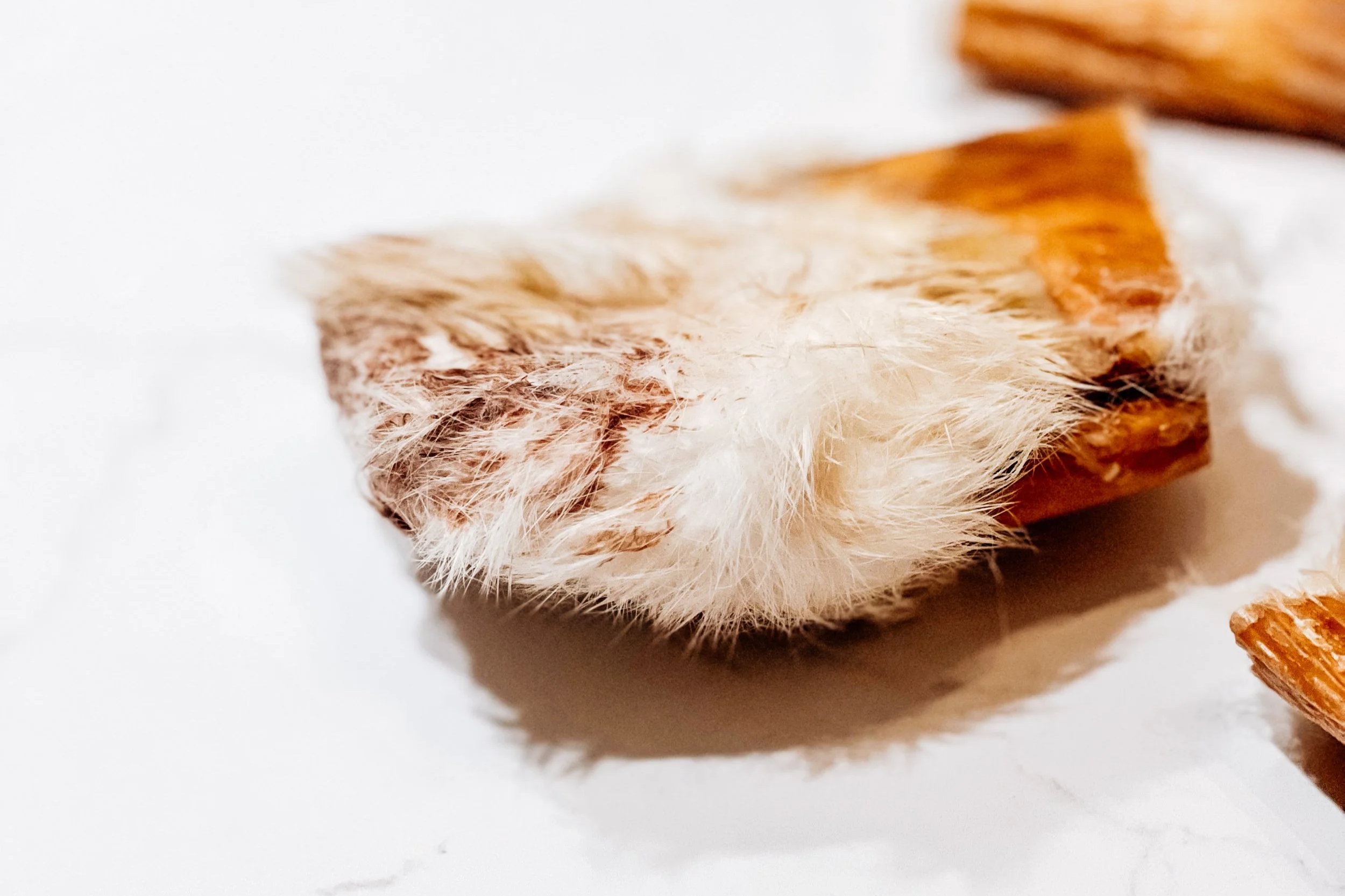 Air-Dried USA Furry Rabbit Hides